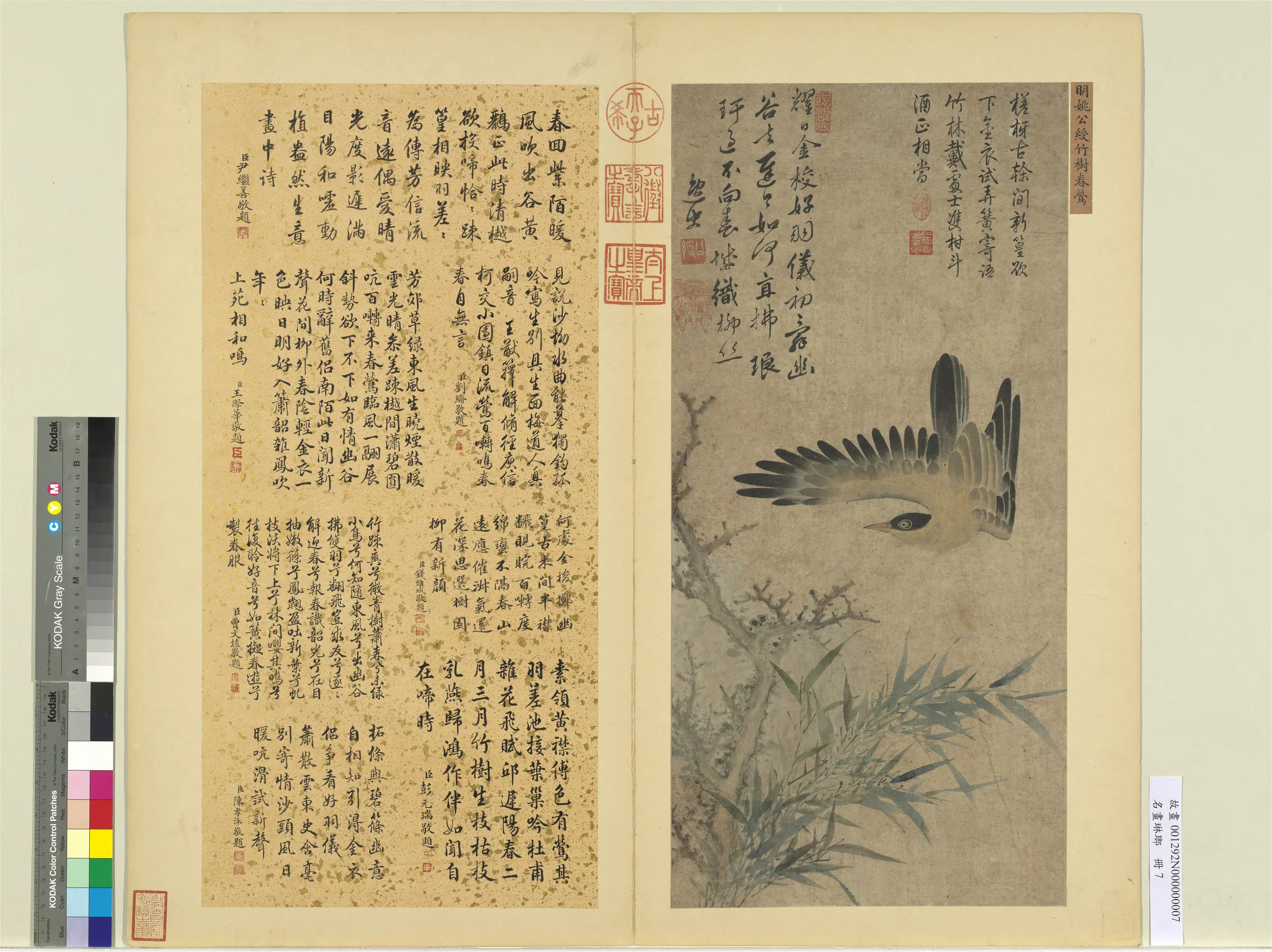 明朝【姚绶】《竹树春莺图-名画琳琅册》