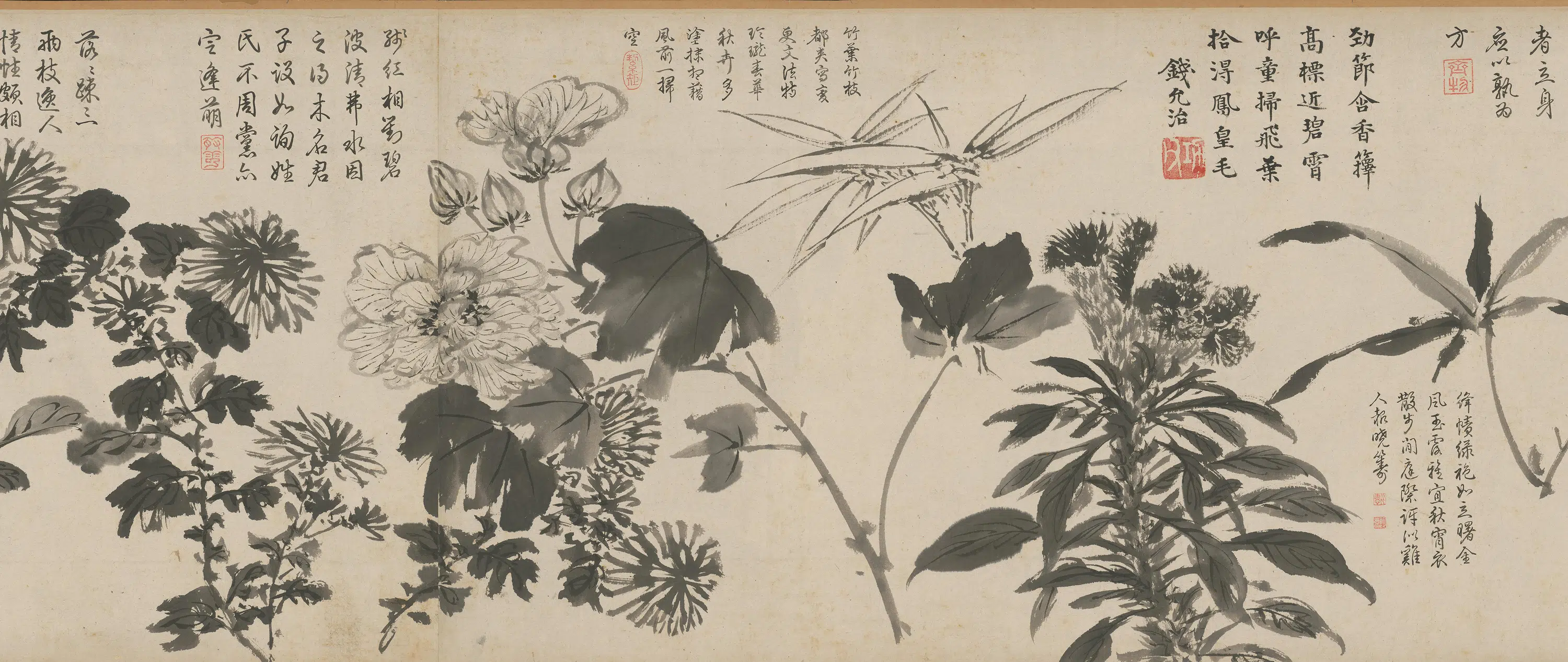 明朝【周之冕】《百花图卷》 第6张 明朝【周之冕】《百花图卷》 第6张