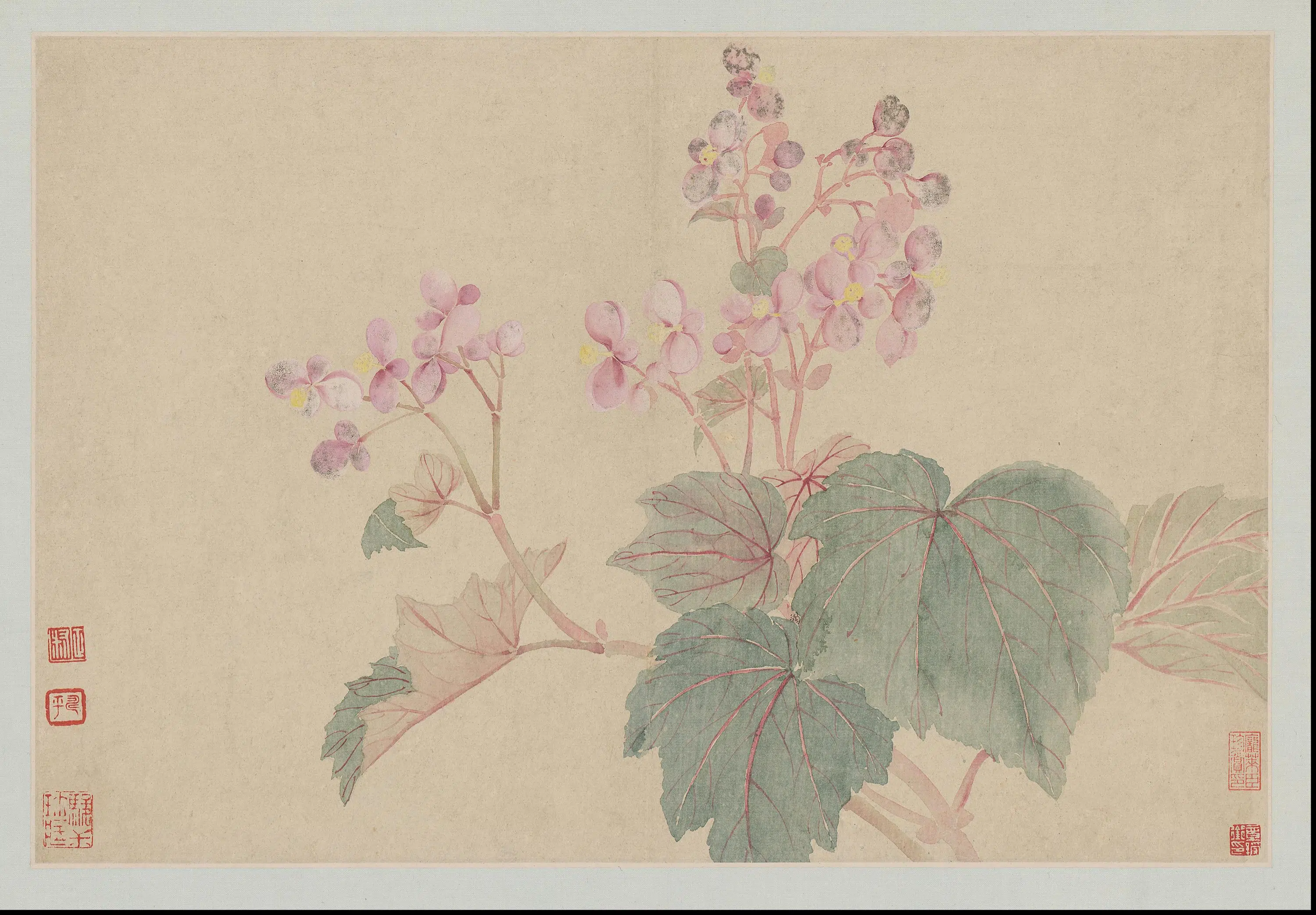 清代【恽寿平】《花卉山水册-14开》 第3张