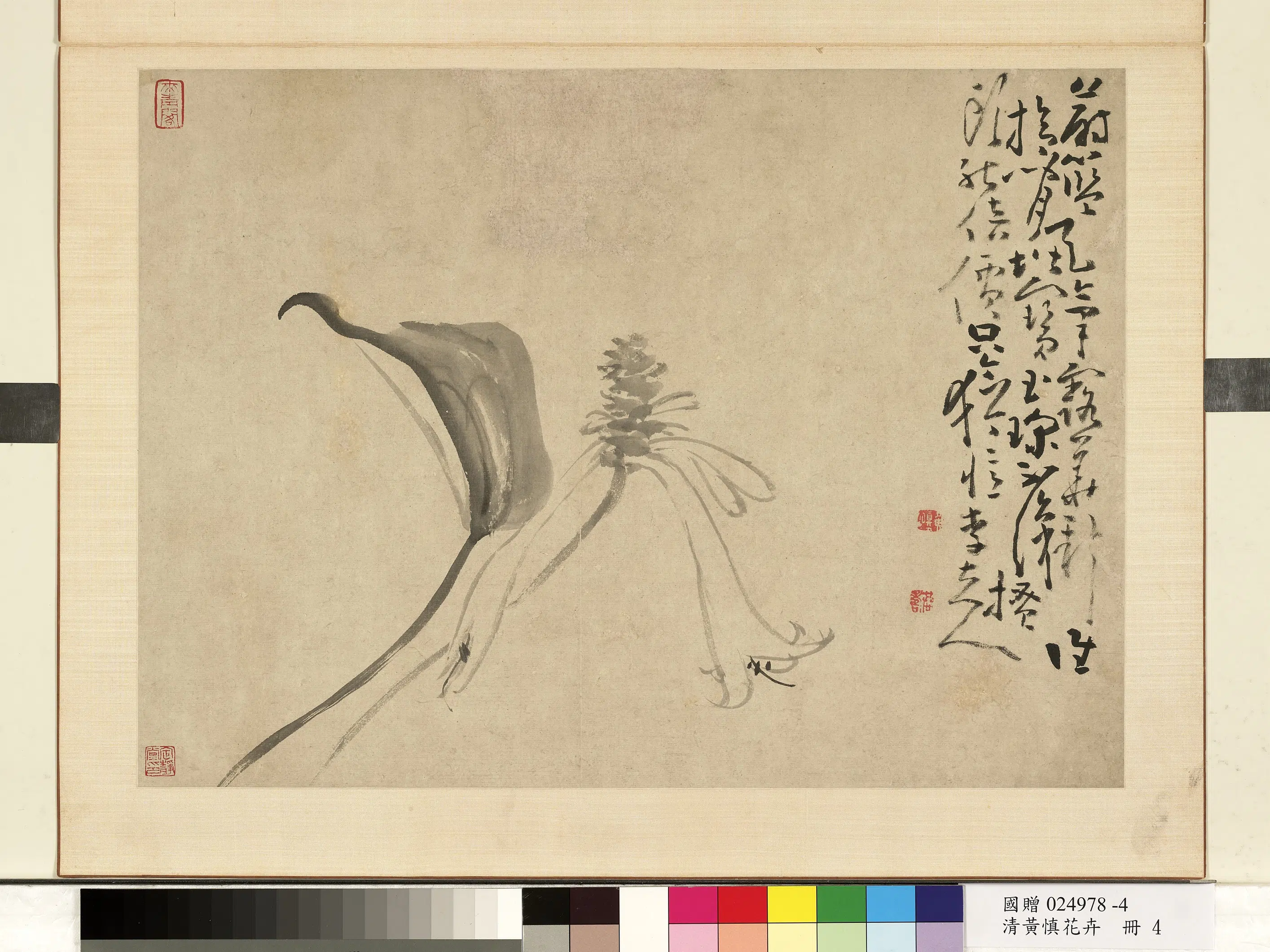 清代【黄慎】《花卉册》 第5张