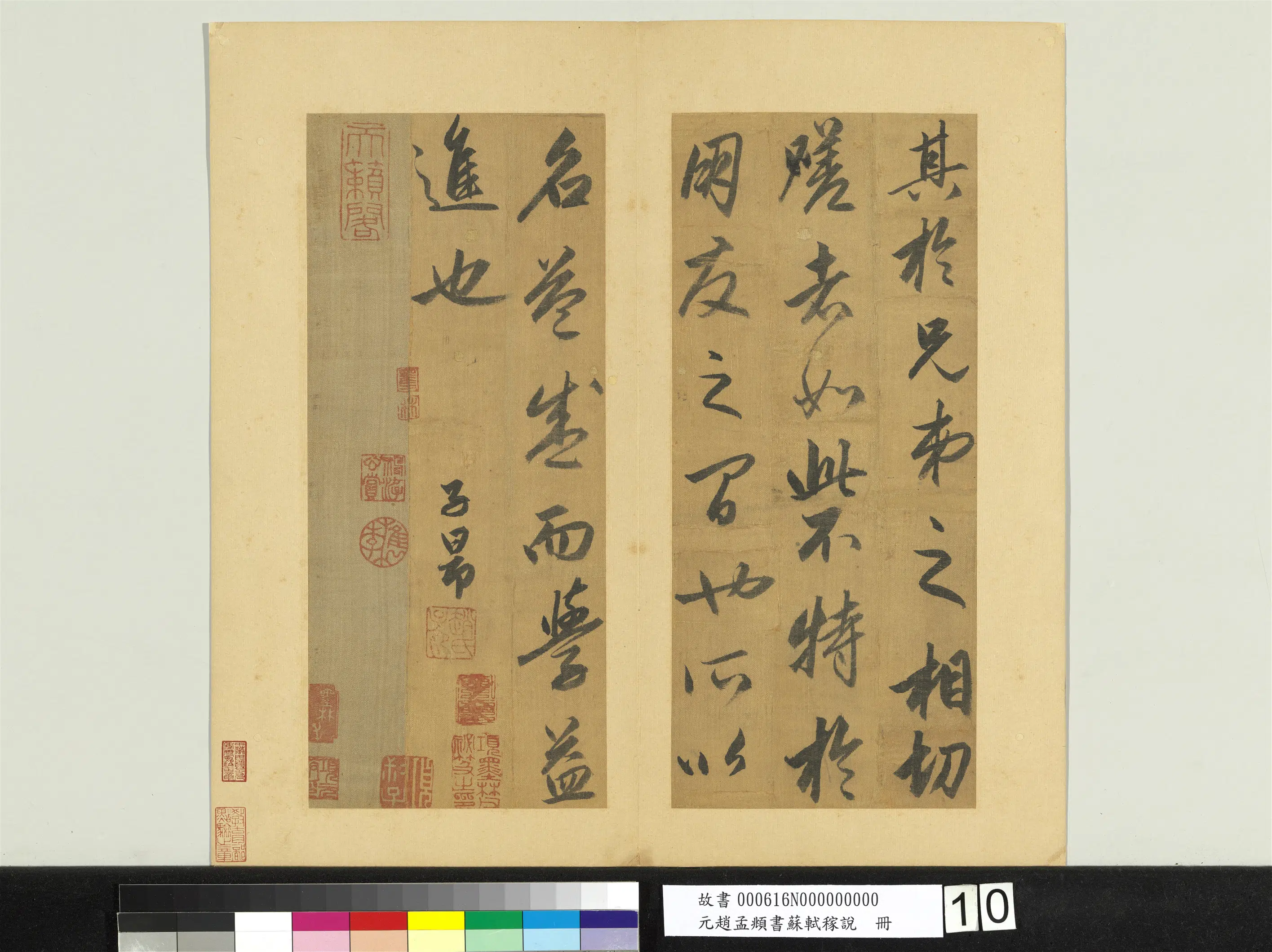 元朝【赵孟頫】《书苏轼稼说册》 第2张