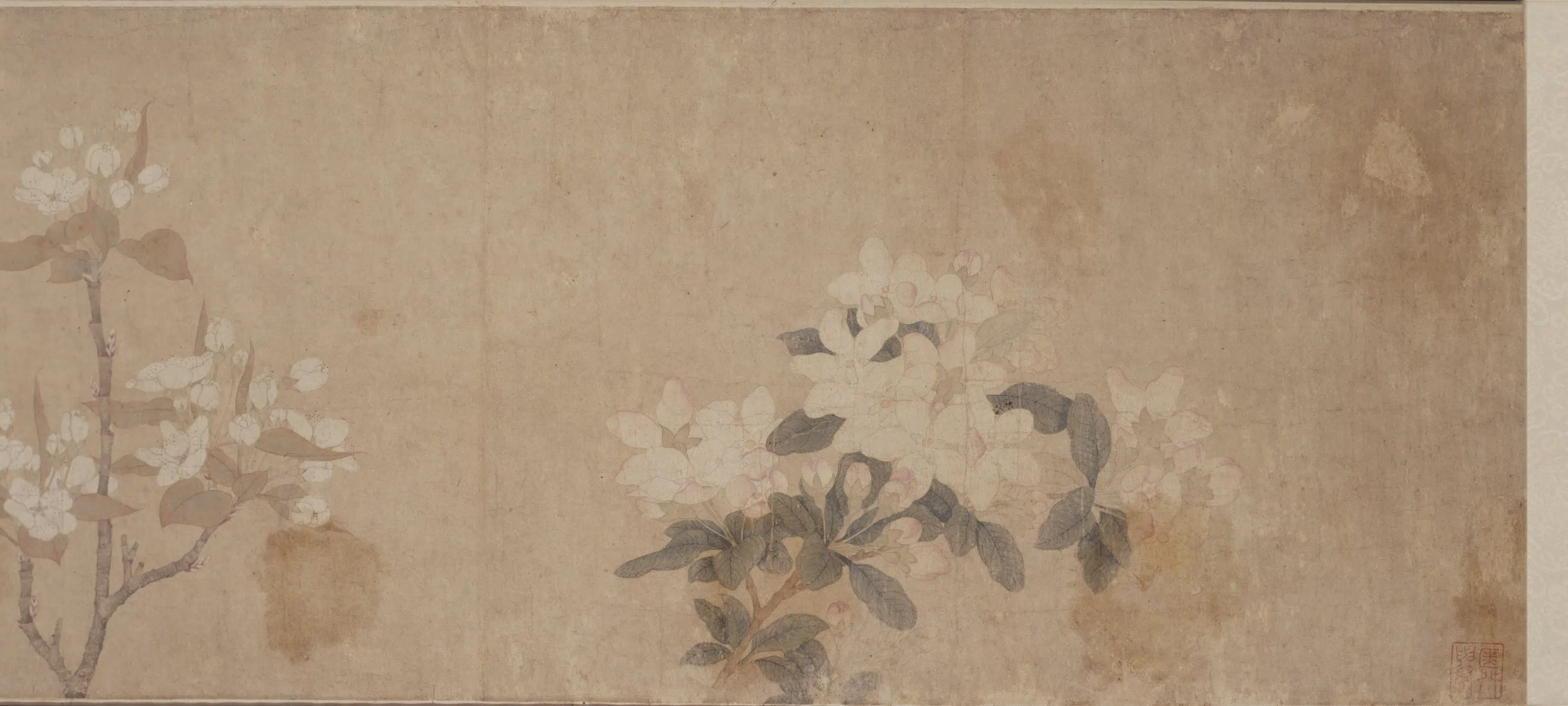 元朝【钱选】《八花图卷》 第5张