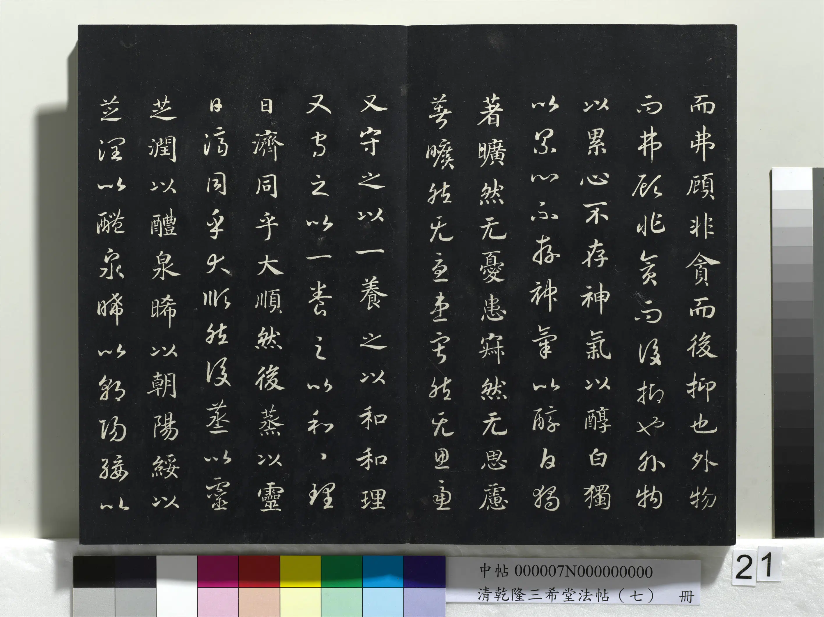 南宋【赵构-宋高宗】《乾隆三希堂法帖（七）册-宋高宗真草书嵇康养生论》 第11张
