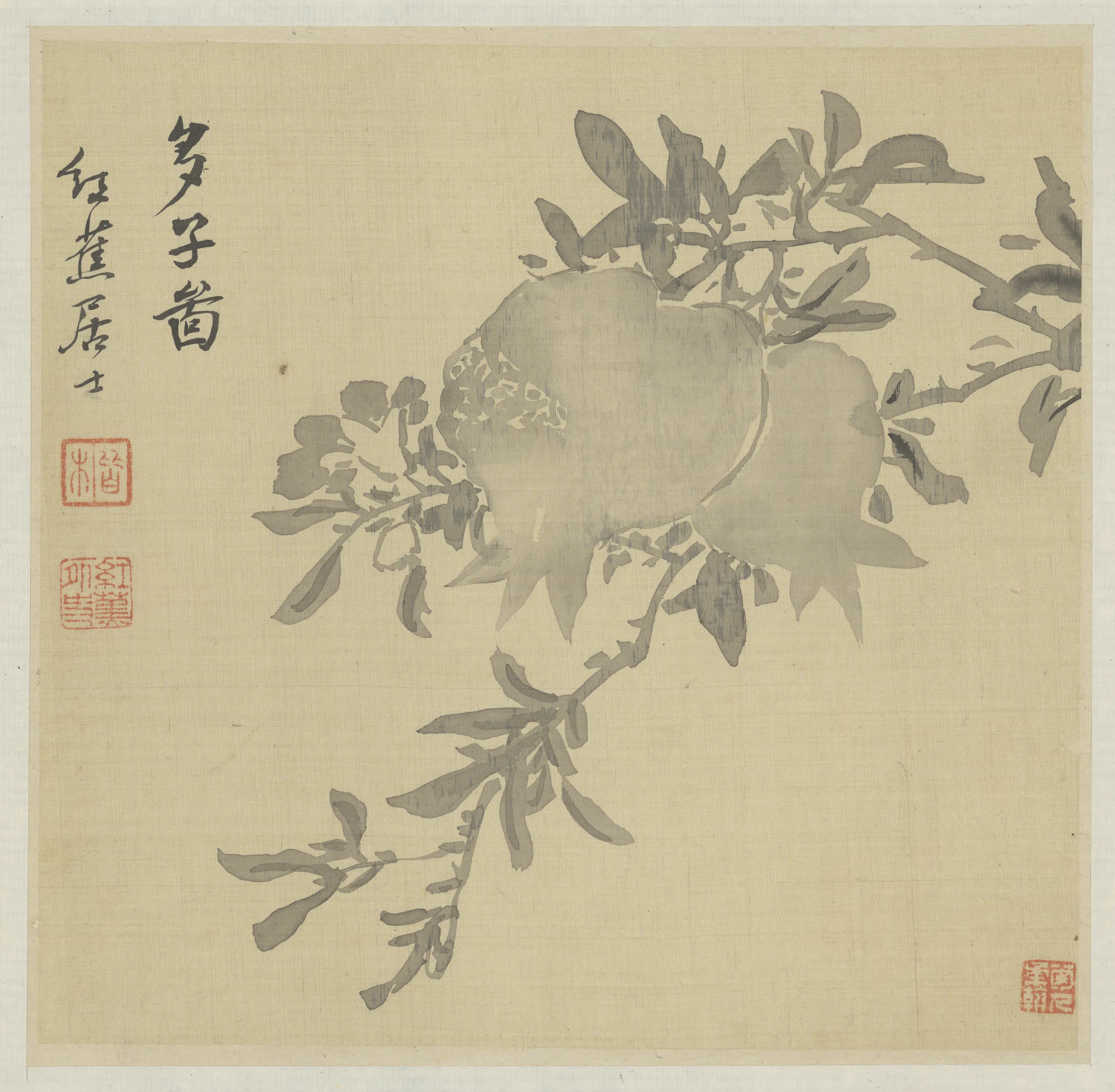 清代【粟楷】《花卉册》 第3张