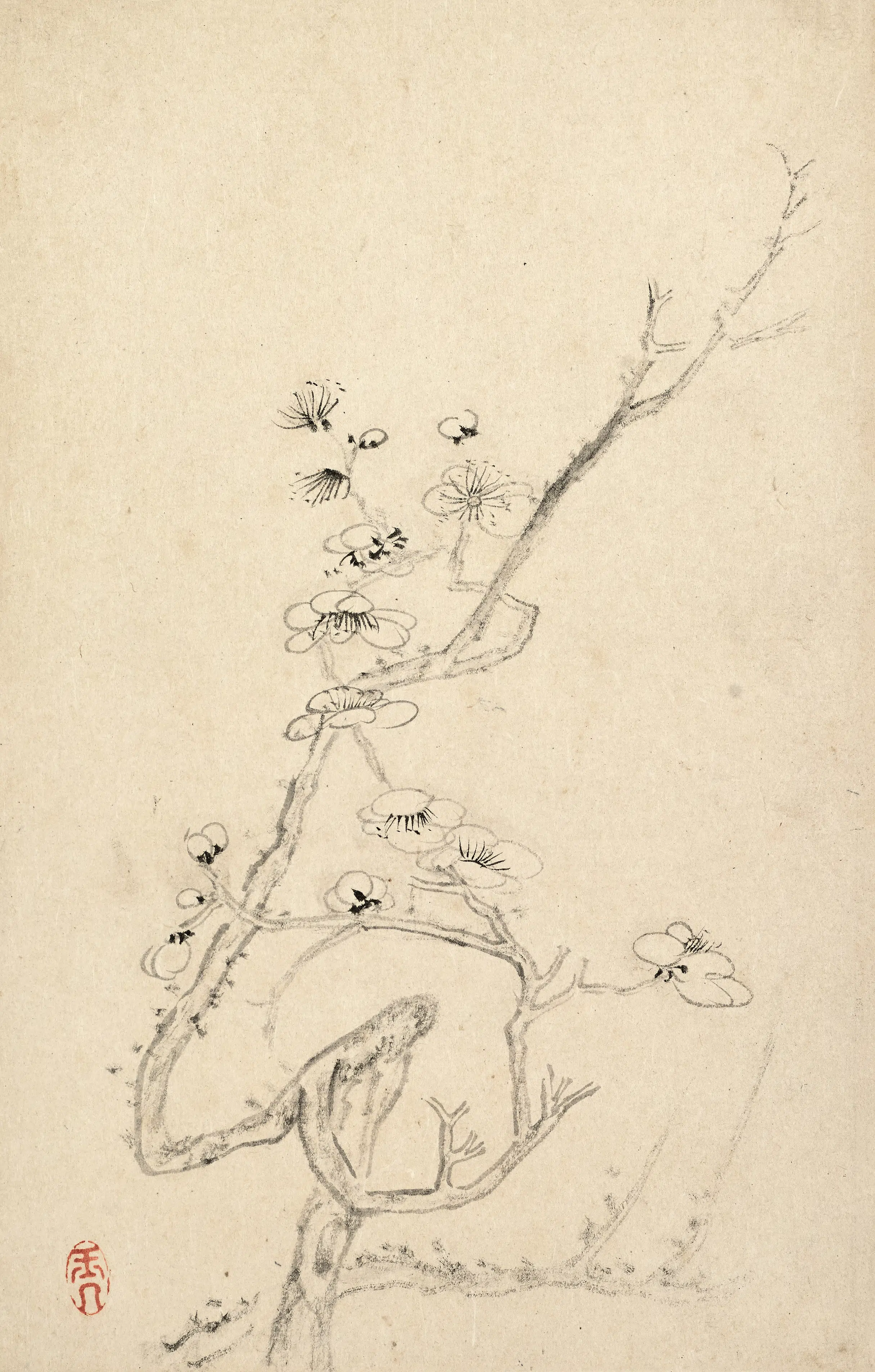 清代【陈撰】《花卉图册》 第2张