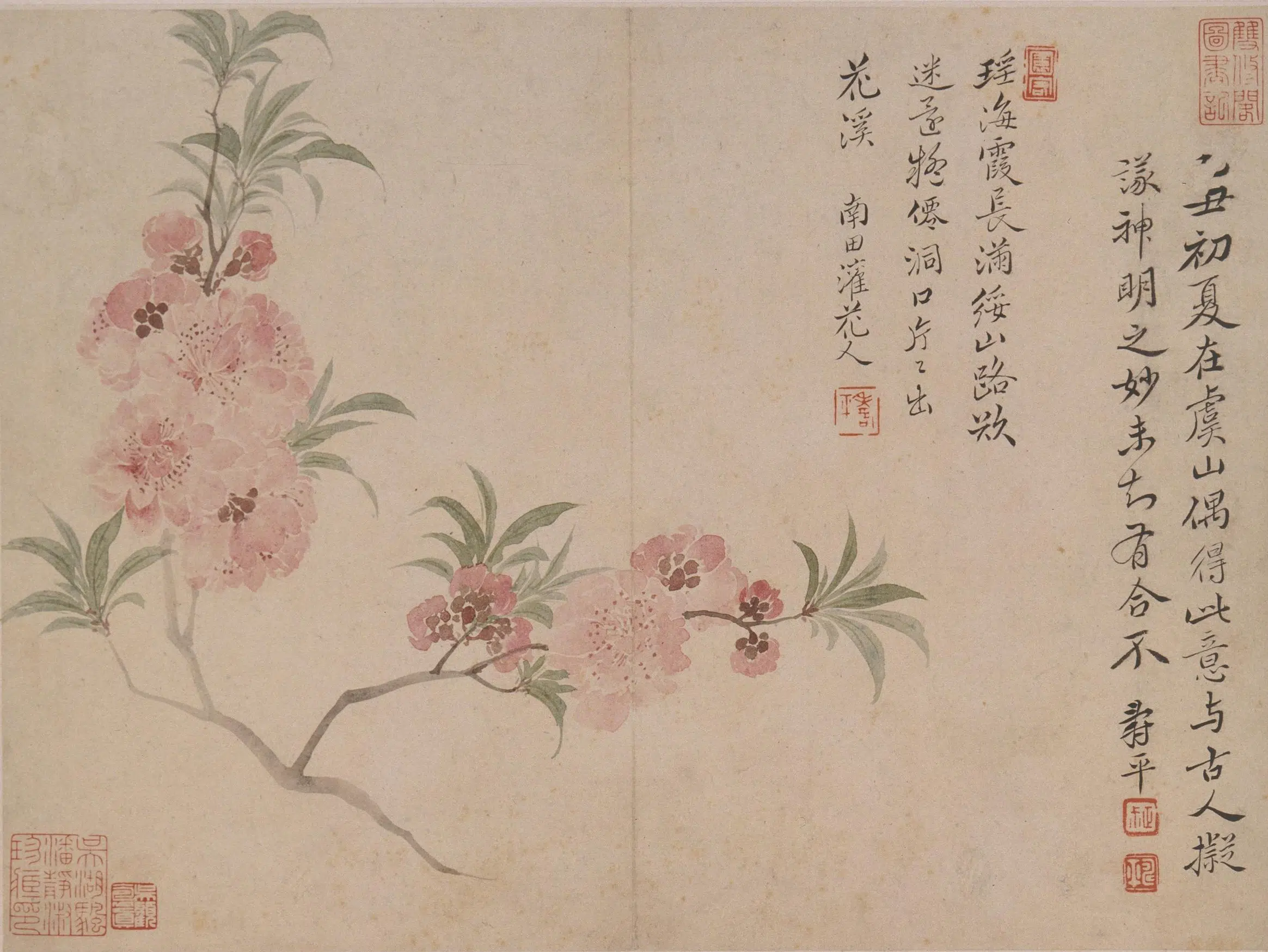 清代【恽寿平】《花卉册》