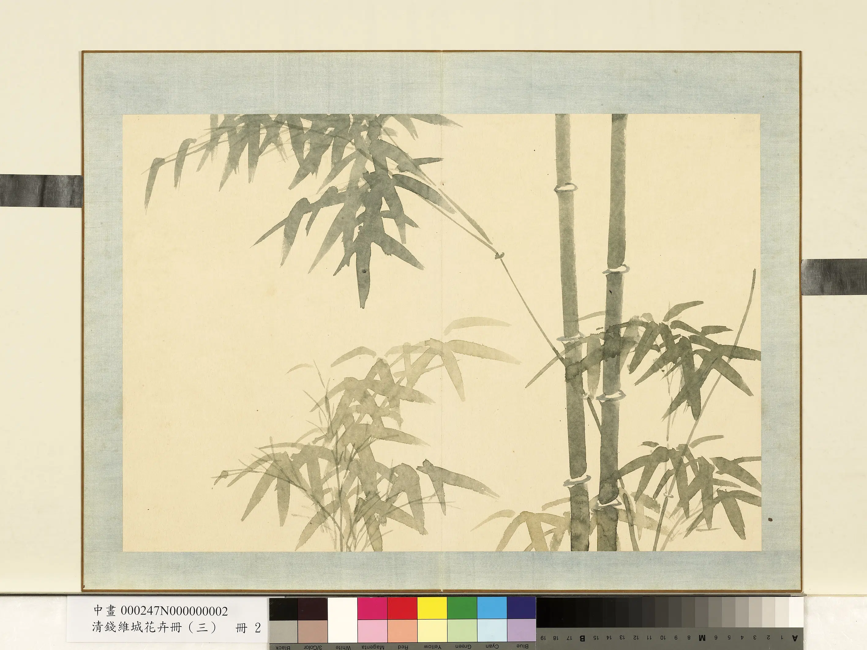 清代【钱维城】《花卉册（三）册-画竹之二》