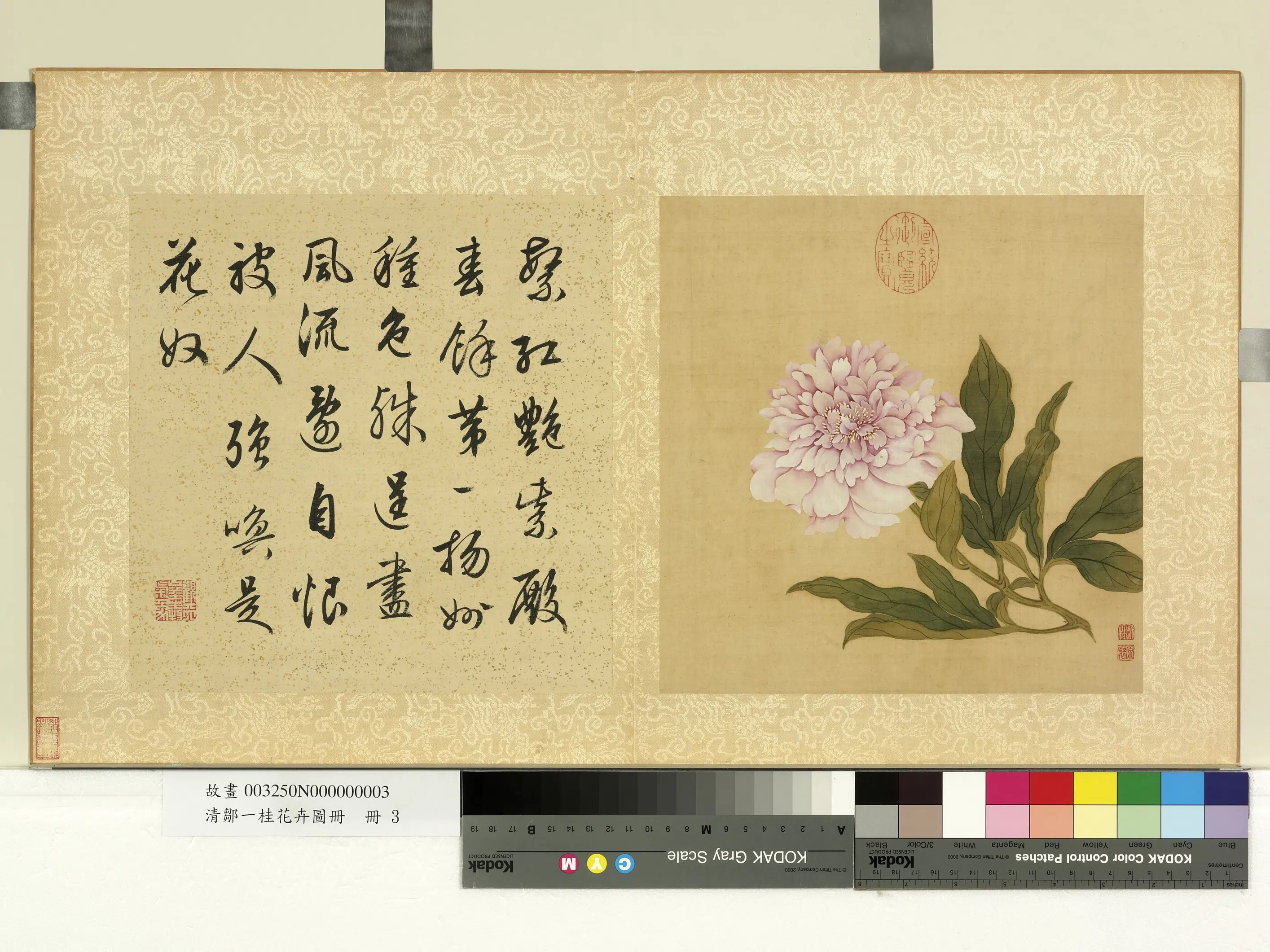 清代【邹一桂】《花卉画册》 第9张 清代【邹一桂】《花卉画册》 第9张