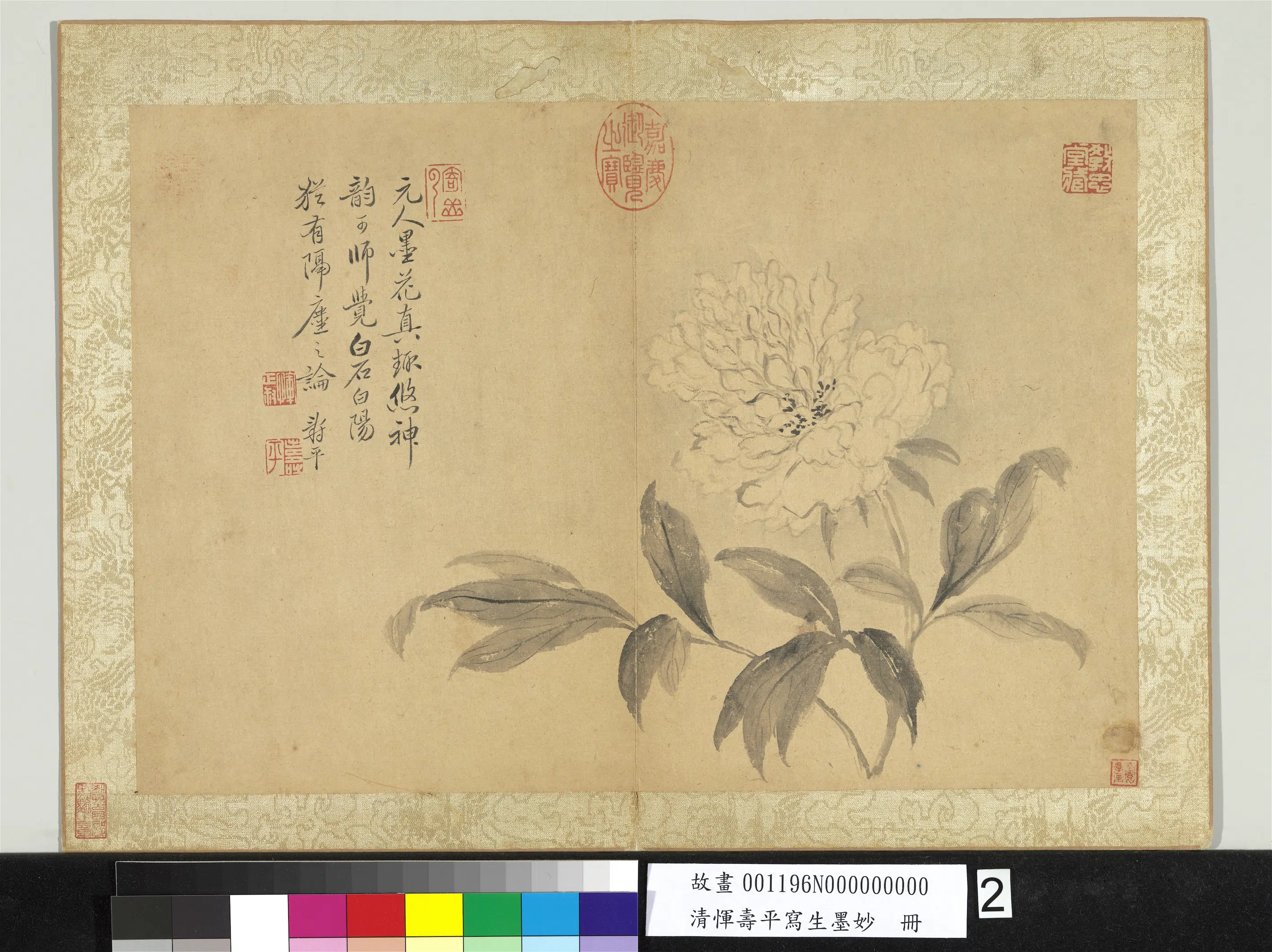 清代【恽寿平】《写生花卉册-牡丹》