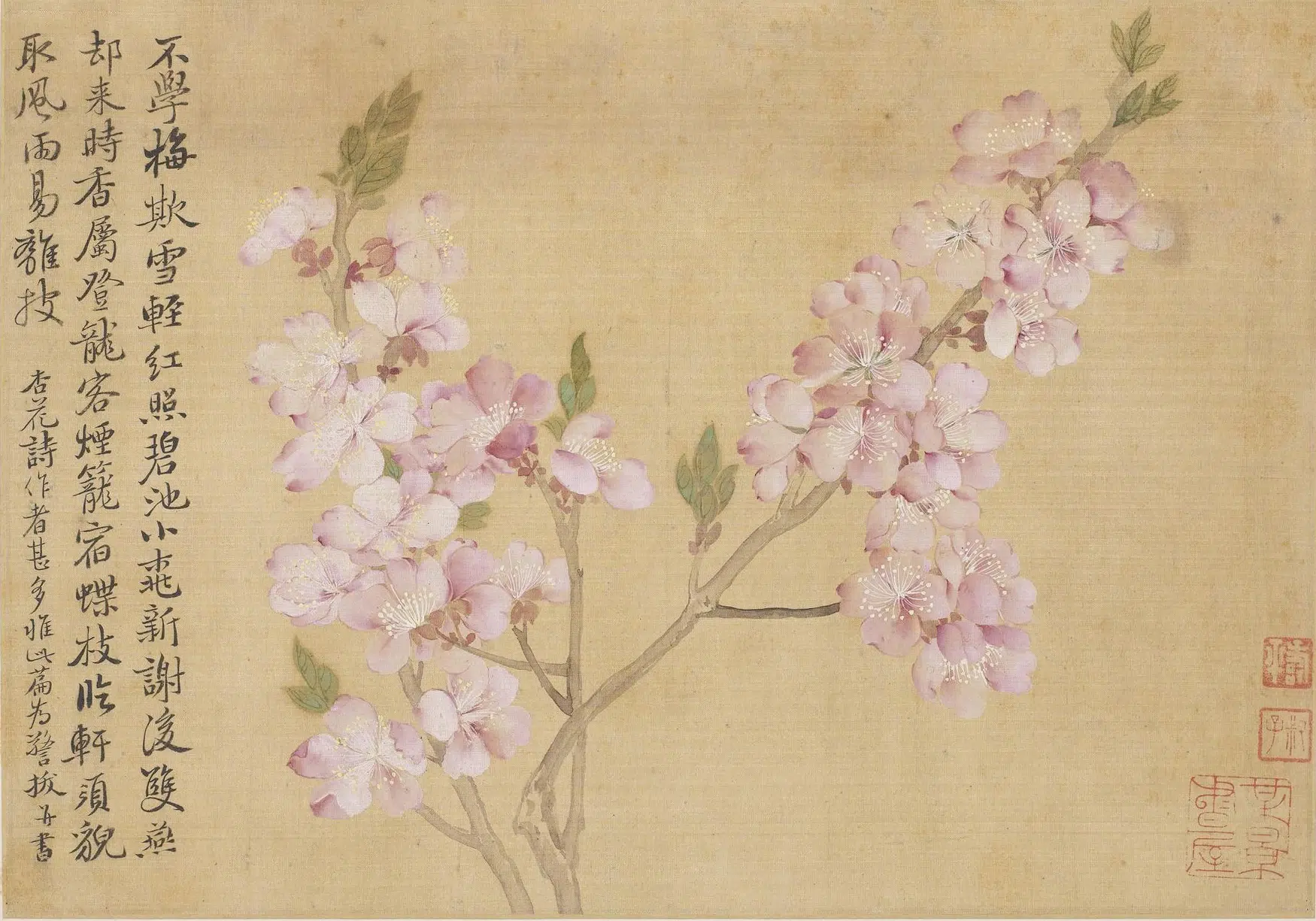 清代【恽寿平】《花卉图册(十开)》 第2张 清代【恽寿平】《花卉图册(十开)》 第2张
