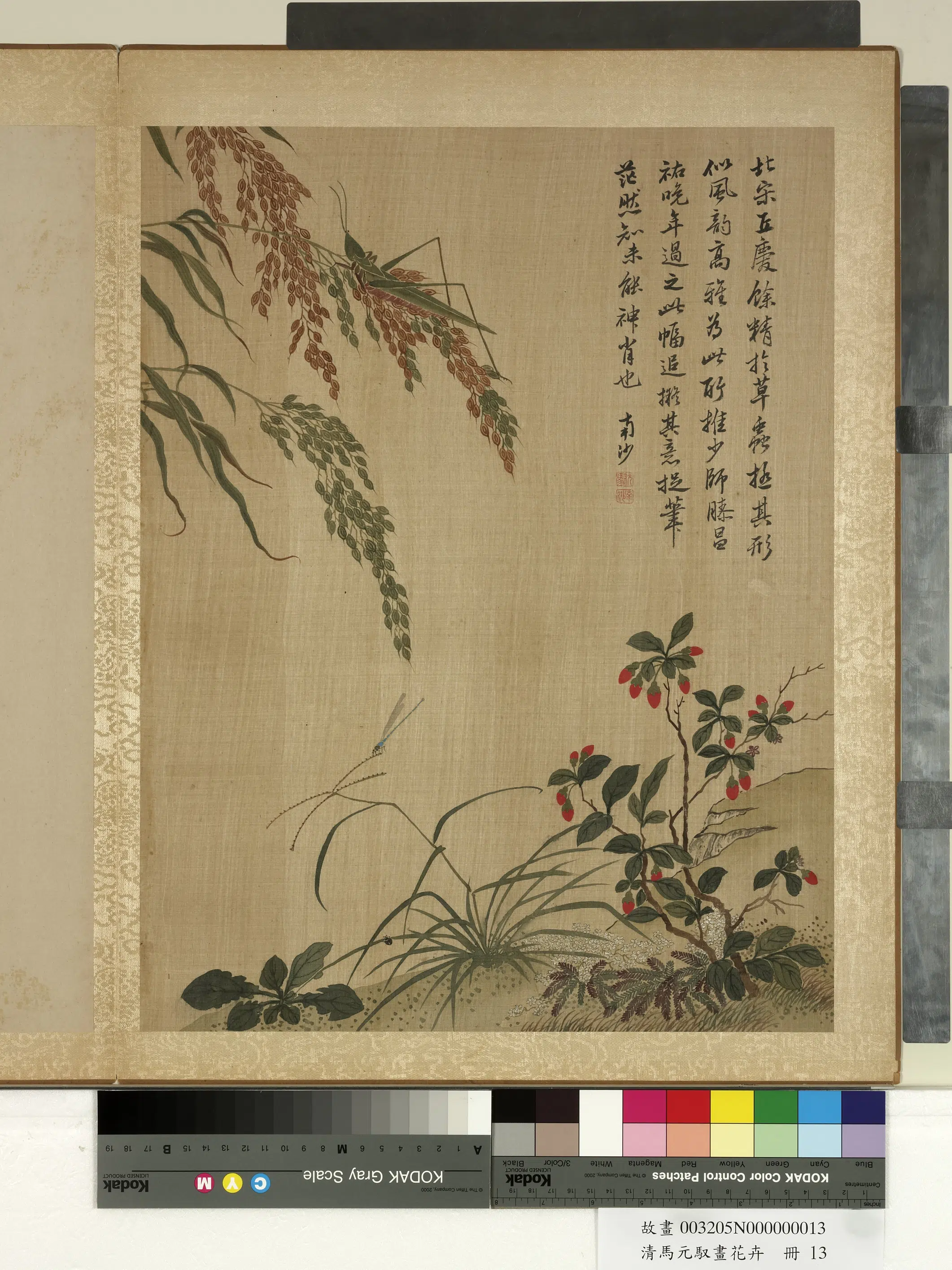清朝【马元驭】《画花卉册-枸杞蝗虫》
