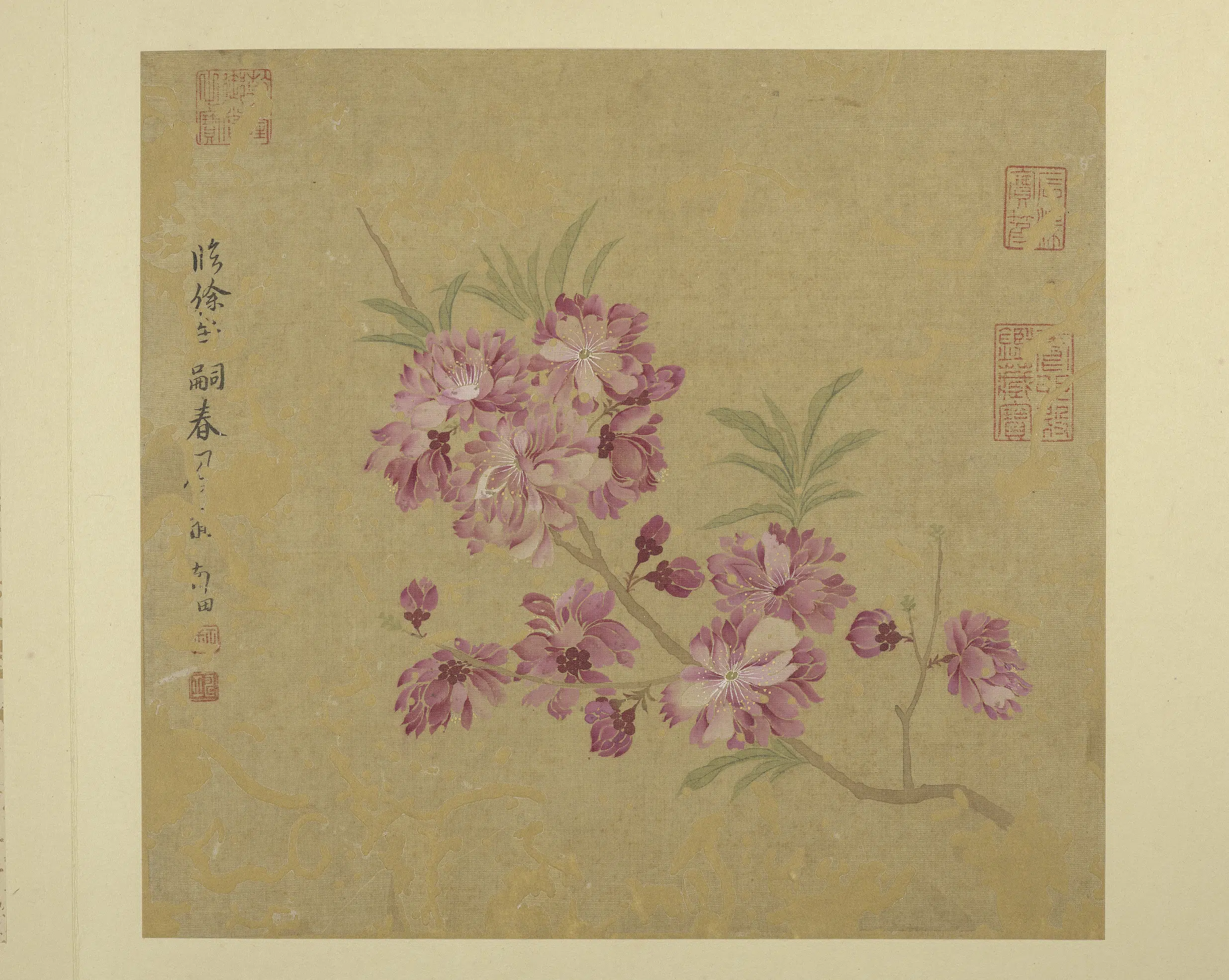 清代【恽寿平】《画花卉册-1》
