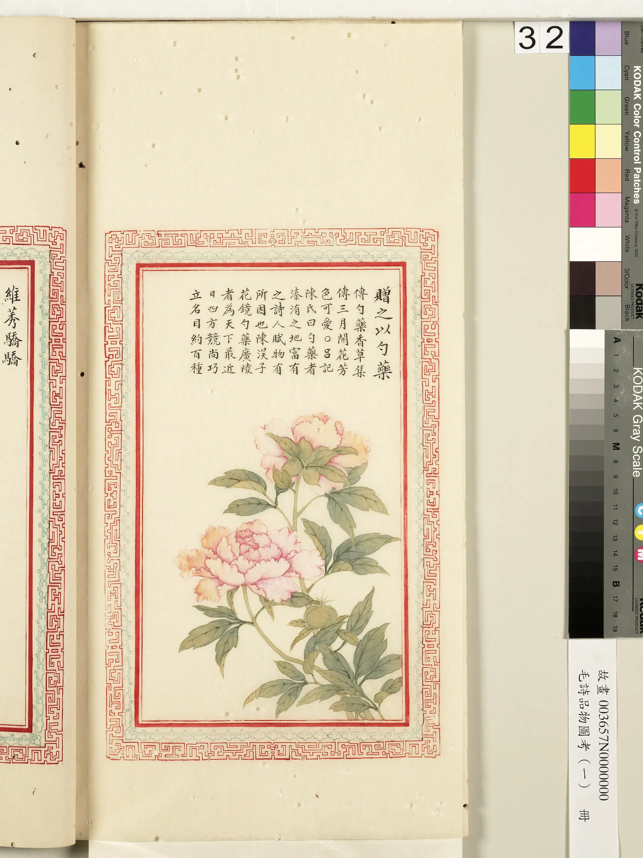 清朝【佚名】《毛诗品物图考（一）册-赠之以勺药-2》