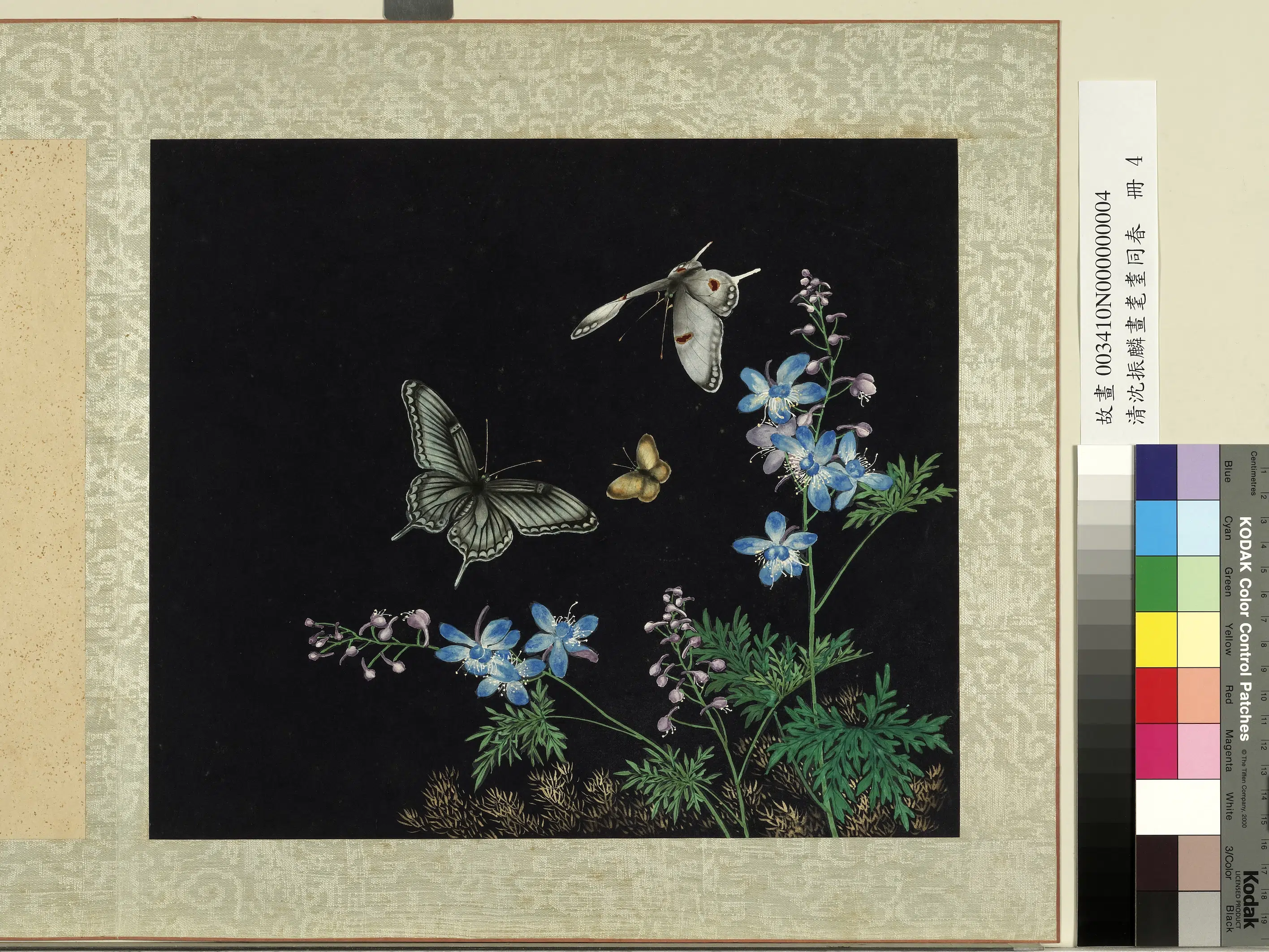 清朝【沈振麟】《画耄耋同春册-1》 第5张 清朝【沈振麟】《画耄耋同春册-1》 第5张