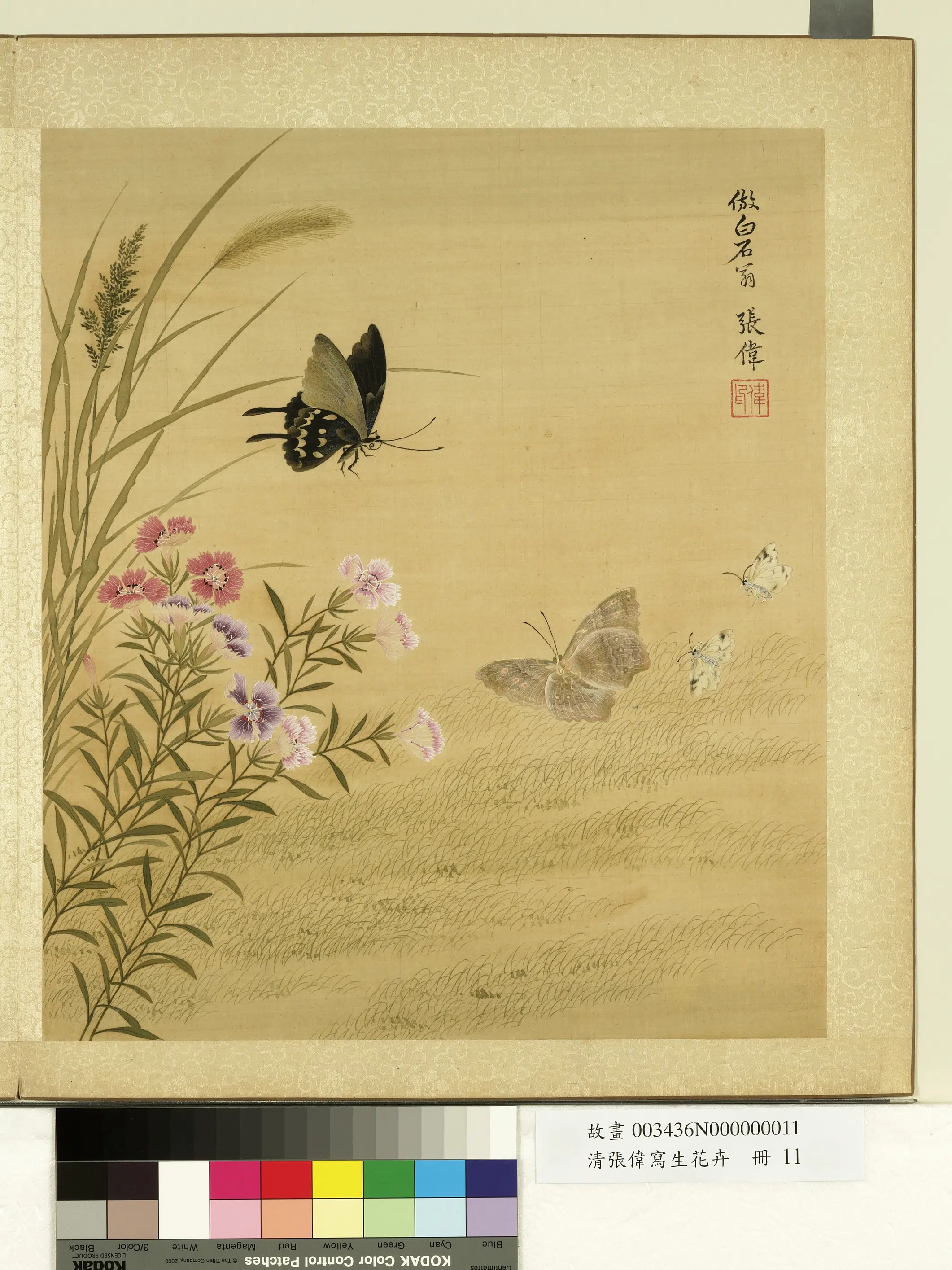 清代【张伟】《写生花卉册》 第12张