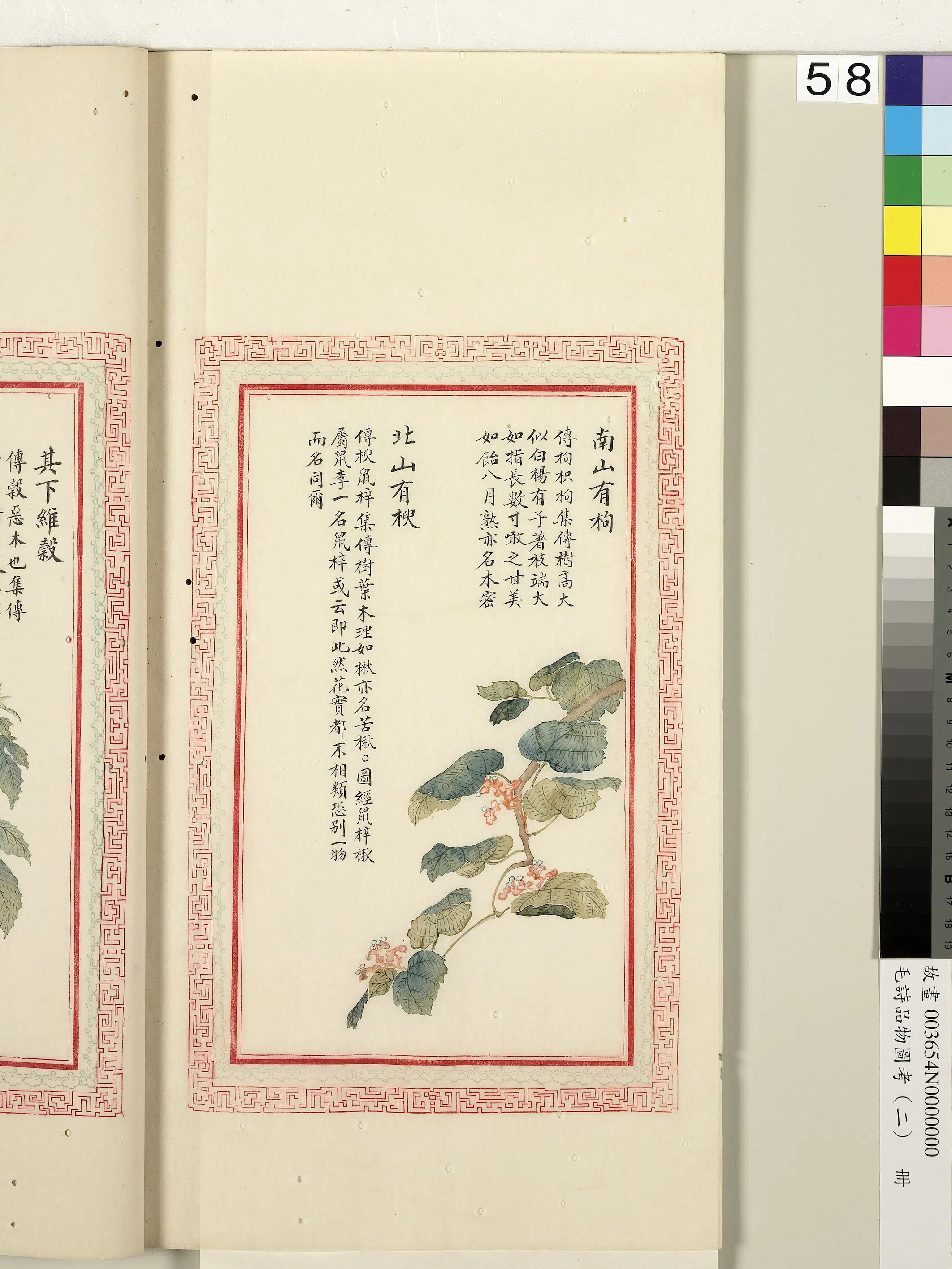 清代《毛诗品物图考(二)册-1》 第14张 清代《毛诗品物图考(二)册-1》 第14张