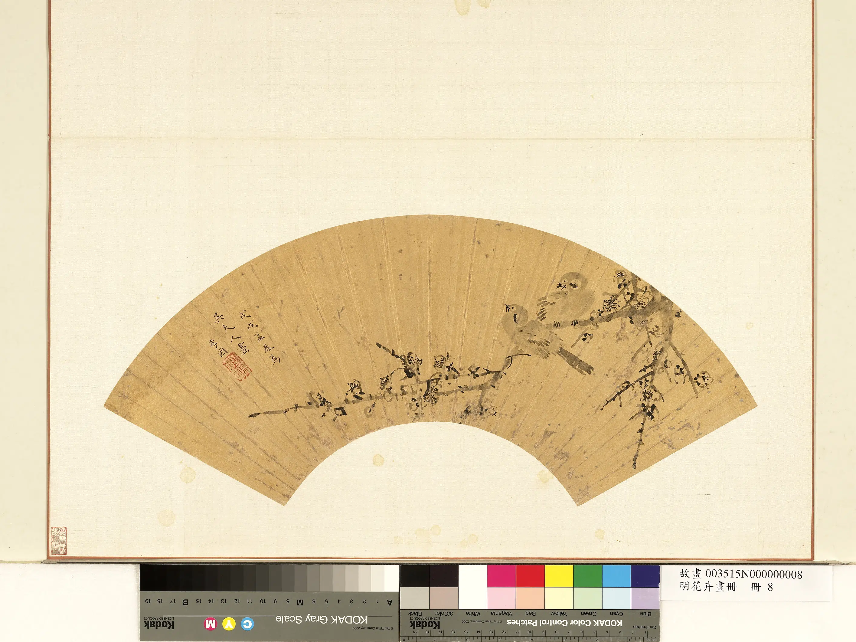 《花卉画册-2》 第9张