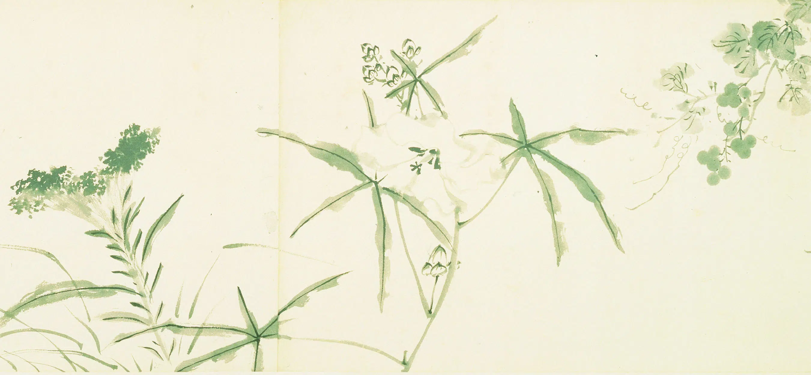 明朝【陈淳（道复）】《花卉图卷-1》 第4张