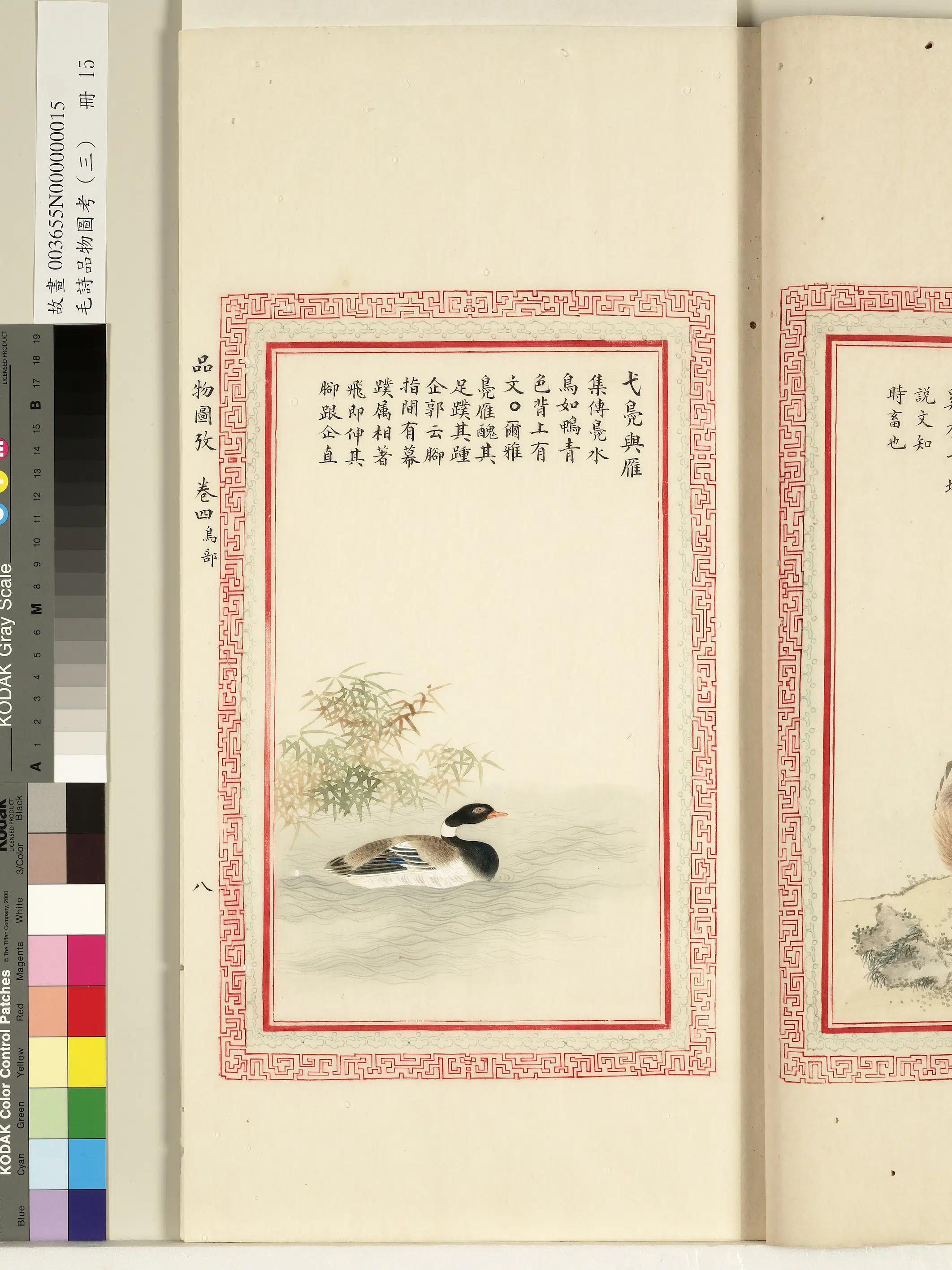 清代《毛诗品物图考(三)册-1》 第17张 清代《毛诗品物图考(三)册-1》 第17张