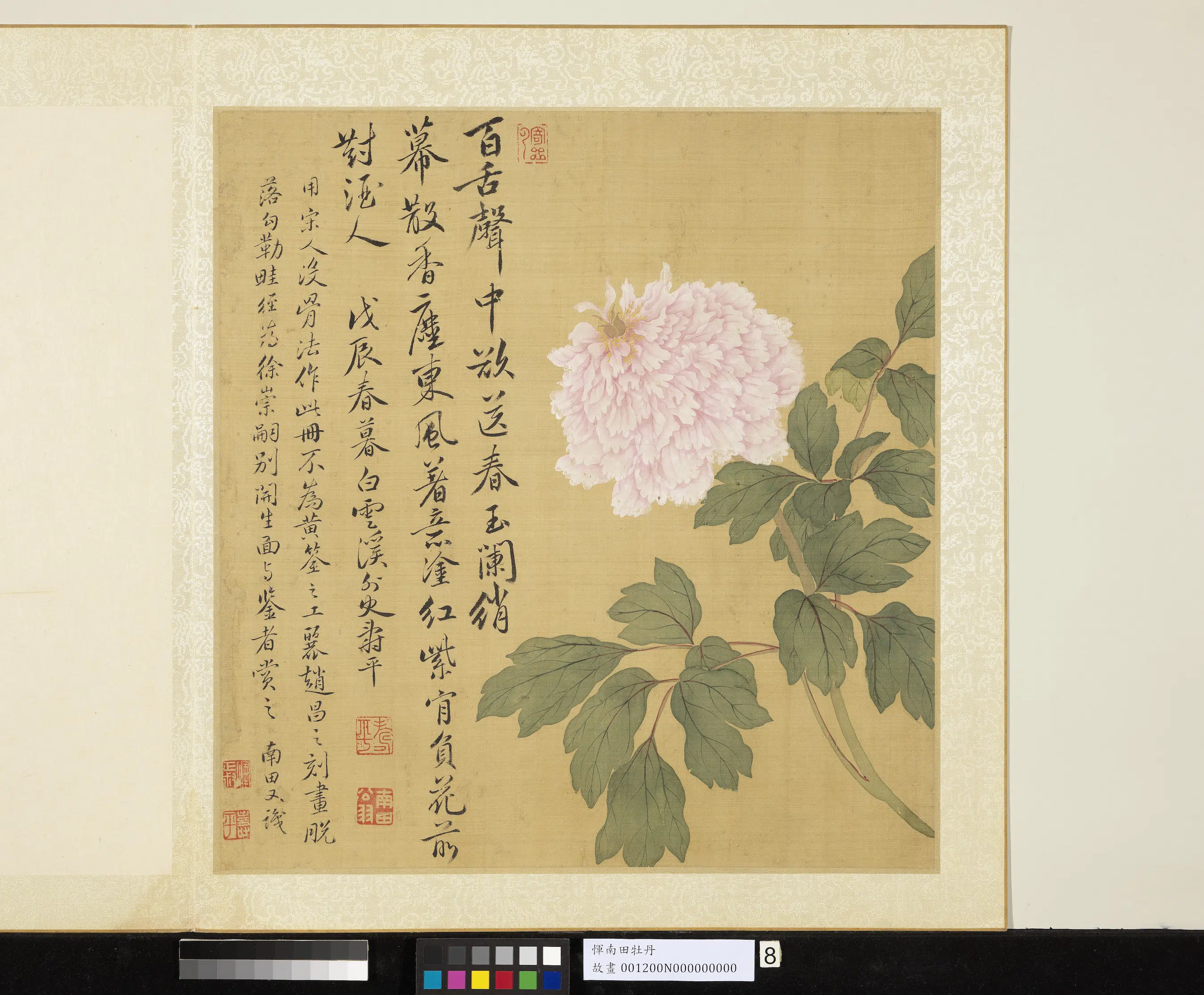 清代【恽寿平】《牡丹册-牡丹（八）》