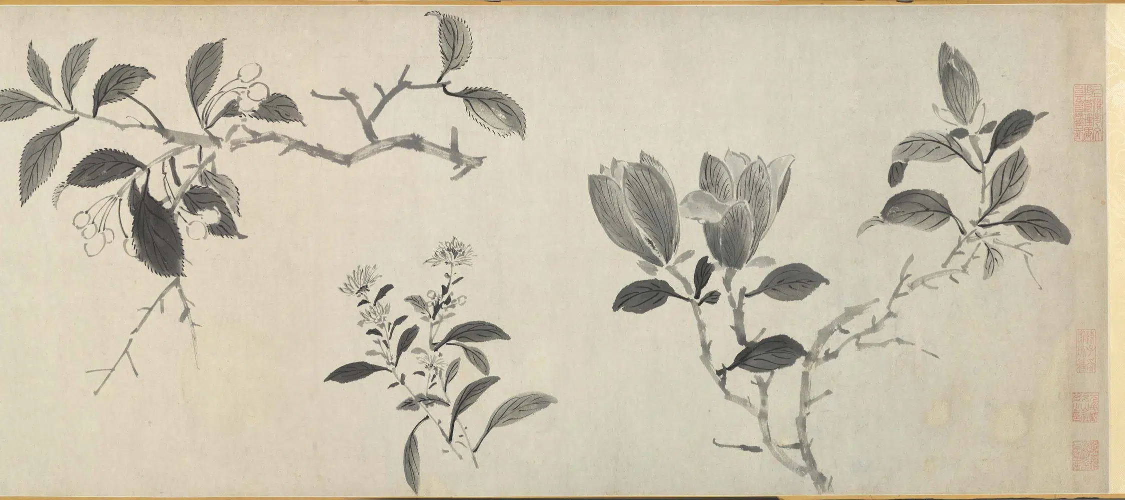 明朝【沈周】《水墨花果卷》 第9张