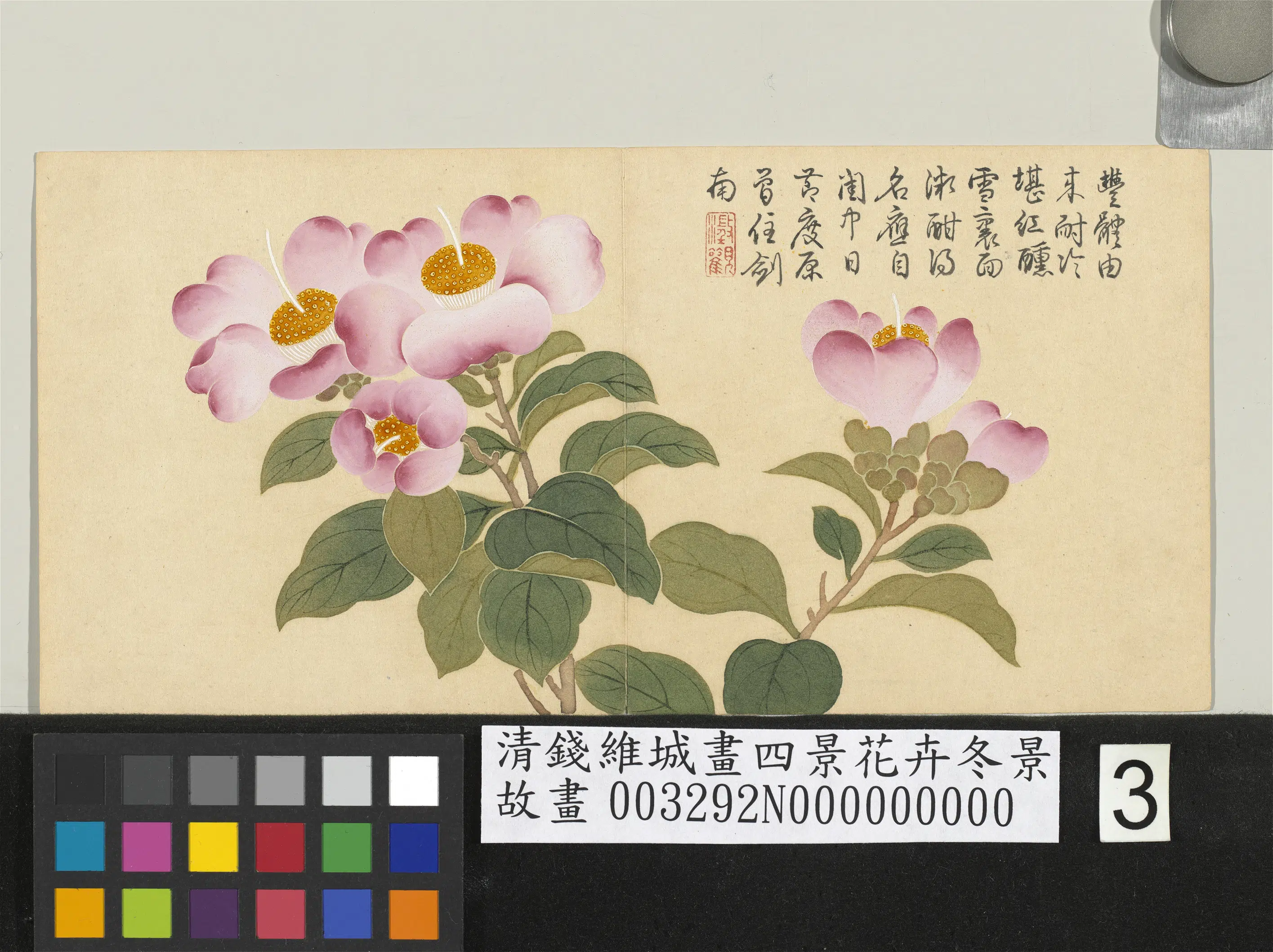 清代【钱维城】《画四景花卉冬景册》 第2张