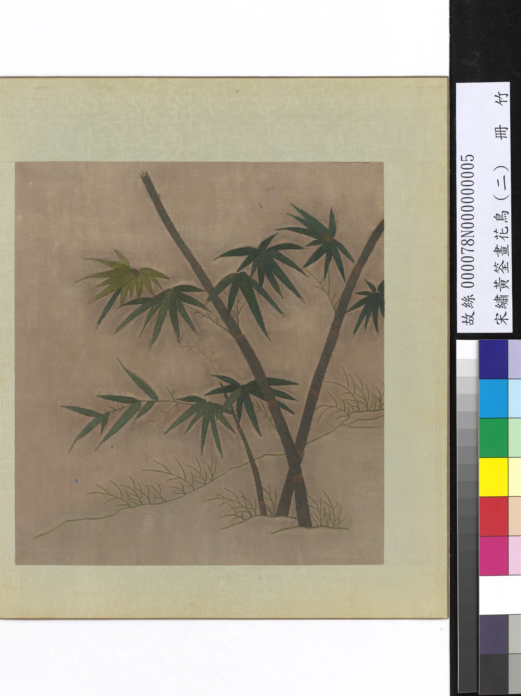 五代十国前后蜀【黄筌（荃）】《绣黄筌画花鸟（二）册-竹》