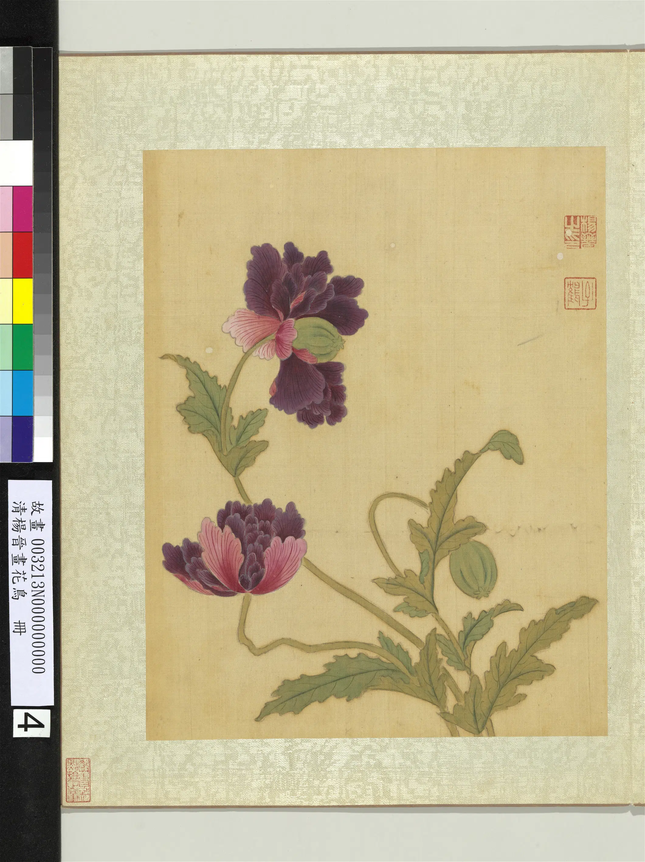 清代【杨晋】《画花鸟册-米囊花》