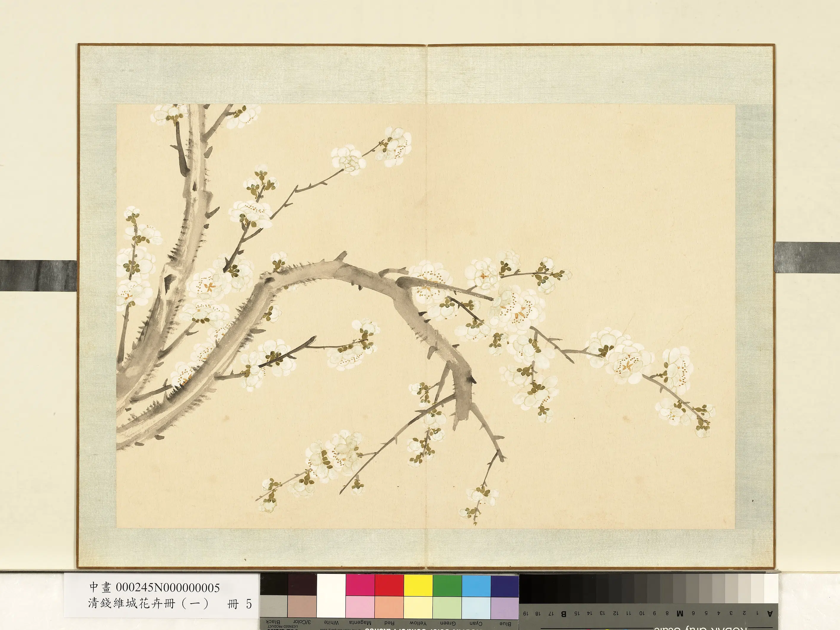 清代【钱维城】《花卉册（一）册-画梅之五》