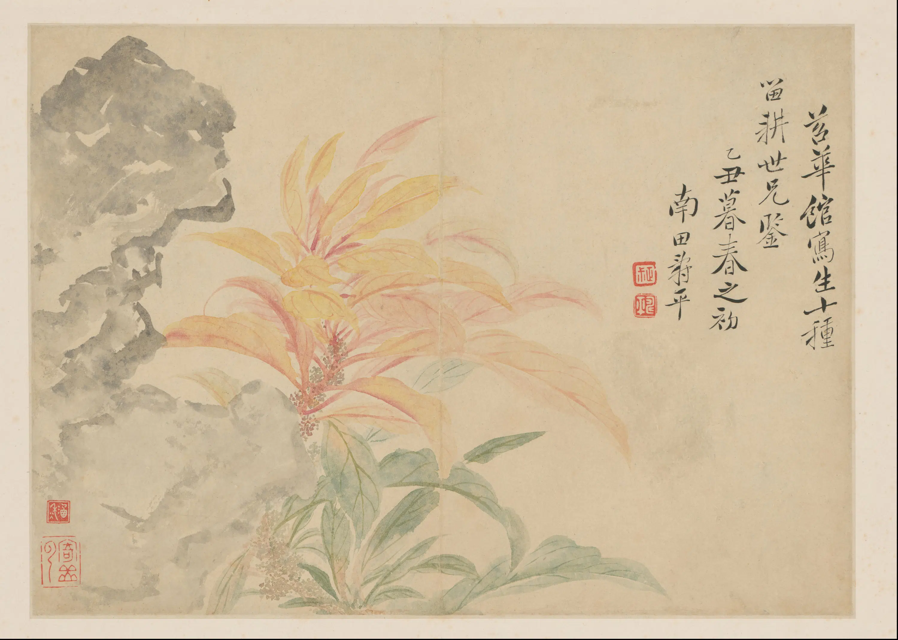 清代【恽寿平】《花卉册-1-13开》 第9张