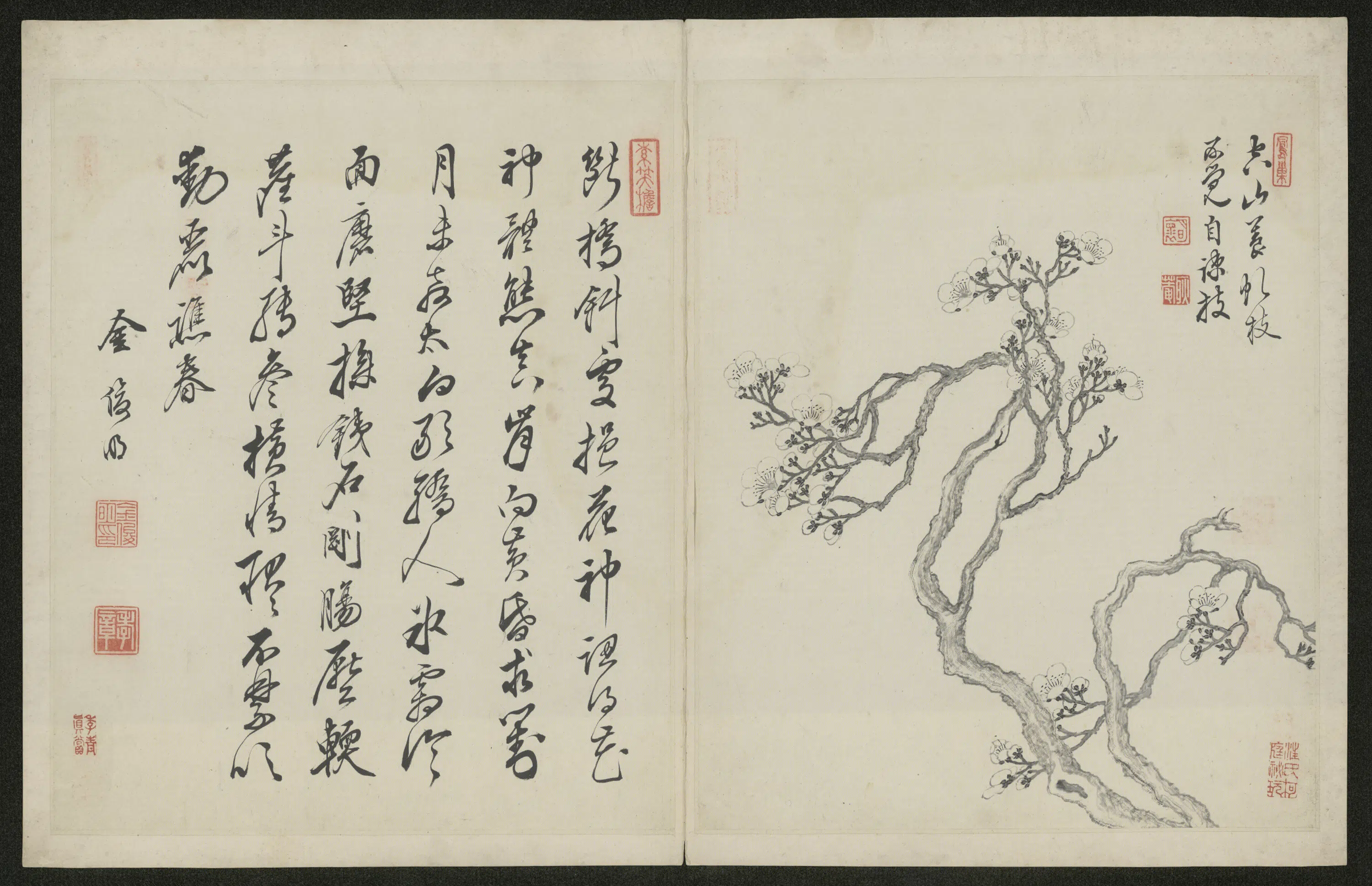 清代【金俊明】《梅花图册-2》 第2张 清代【金俊明】《梅花图册-2》 第2张
