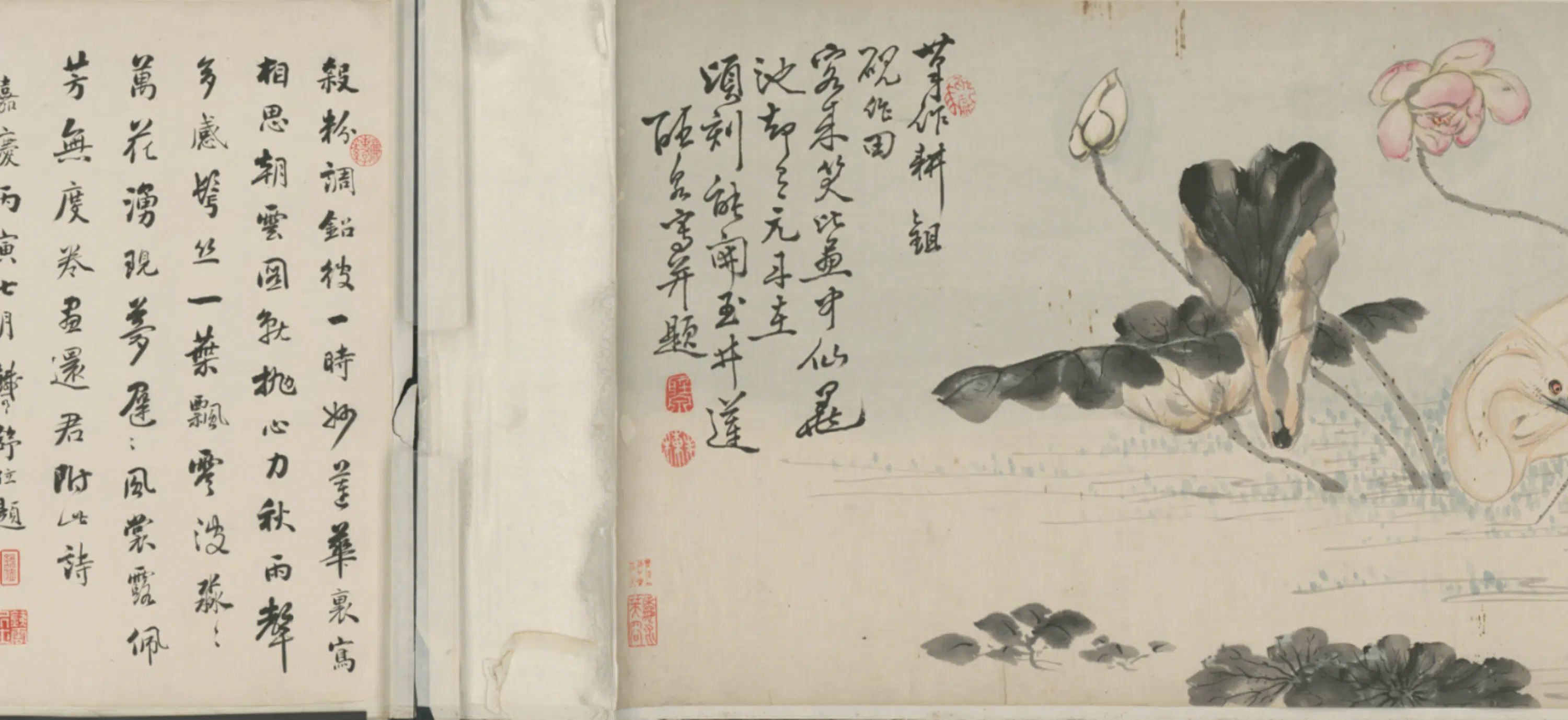 清代【朱栋】《荷花鹭鸶图卷》 第3张 清代【朱栋】《荷花鹭鸶图卷》 第3张