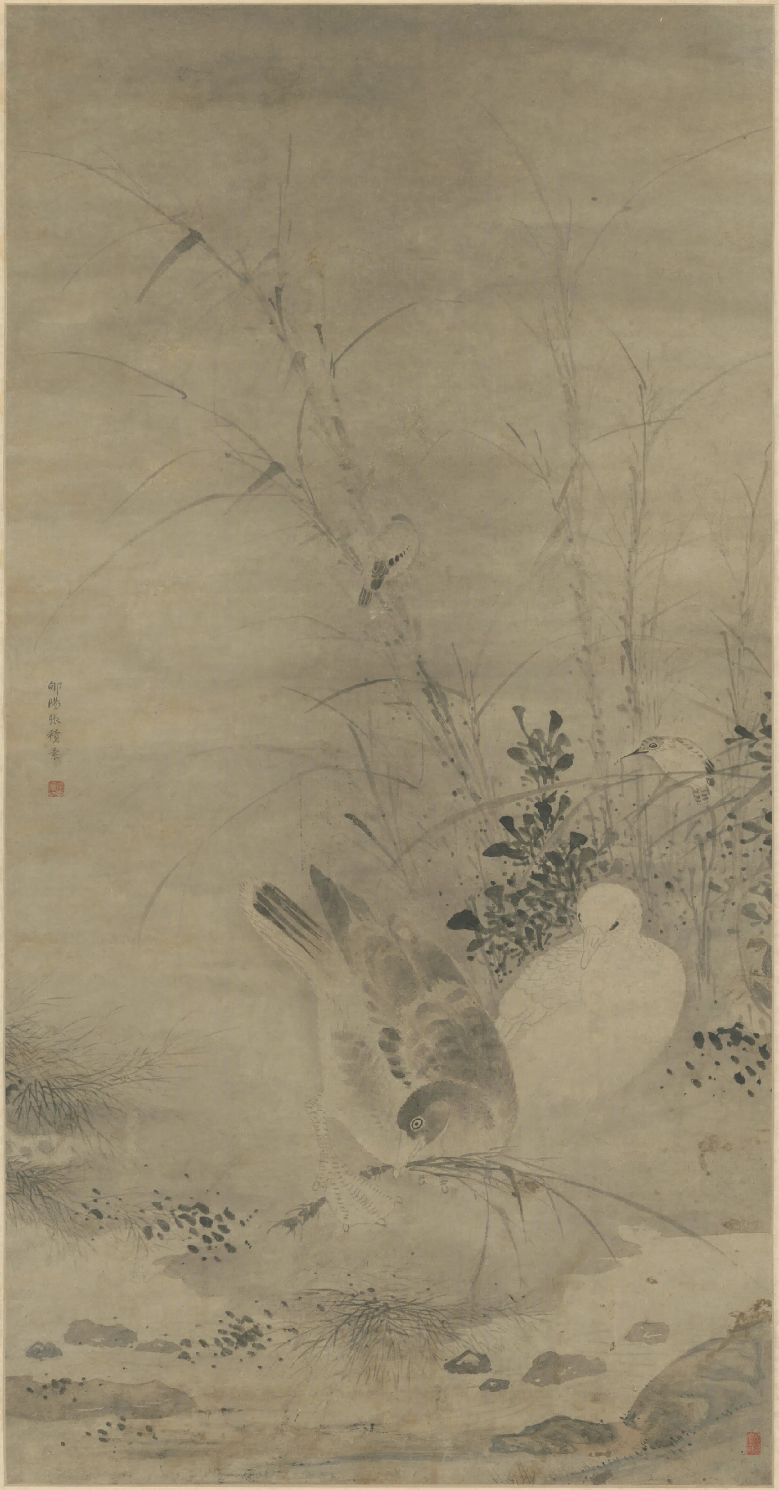 清代【张积素】《芦鸭轴》