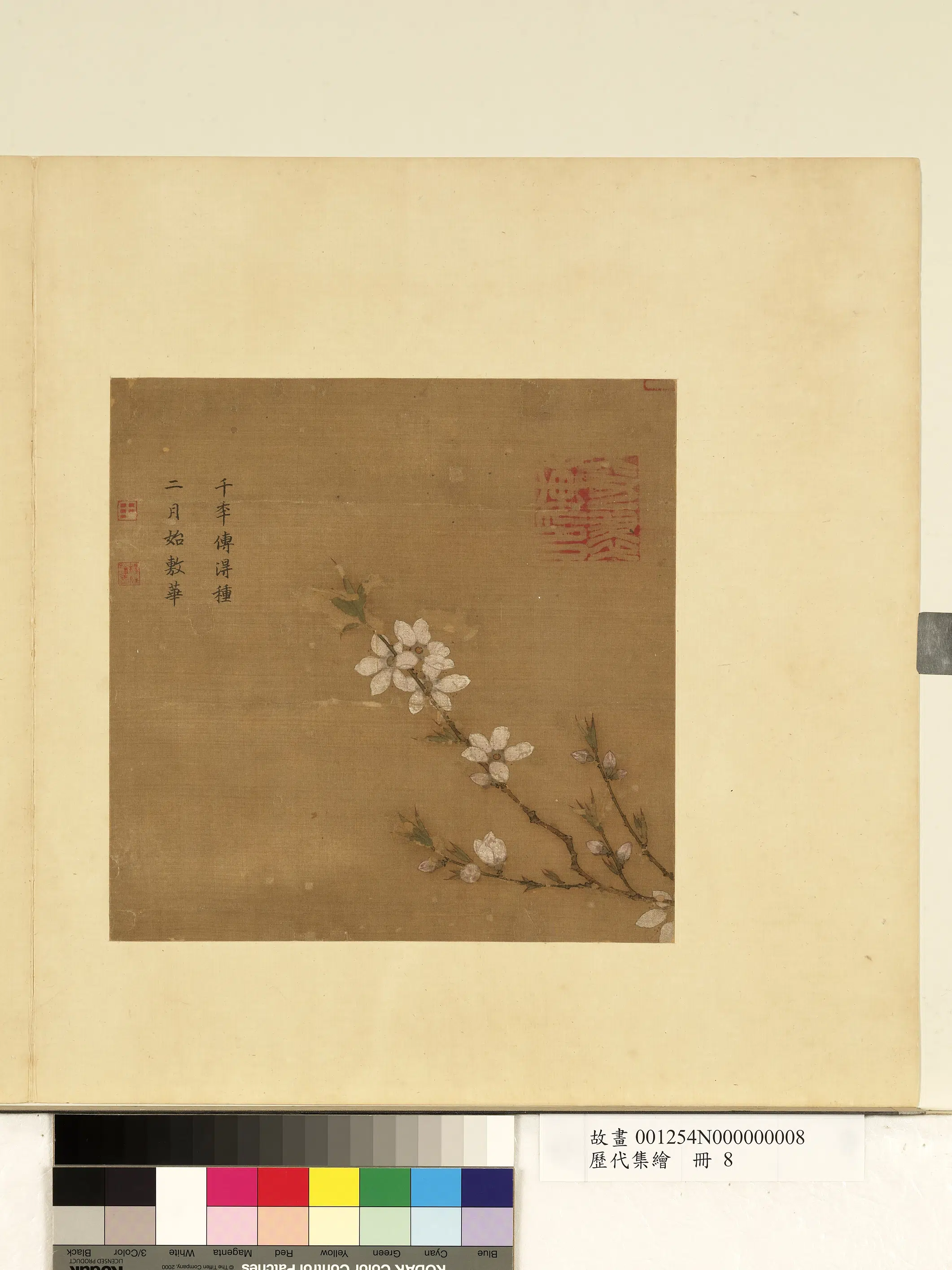 《历代集绘册-无款桃花》