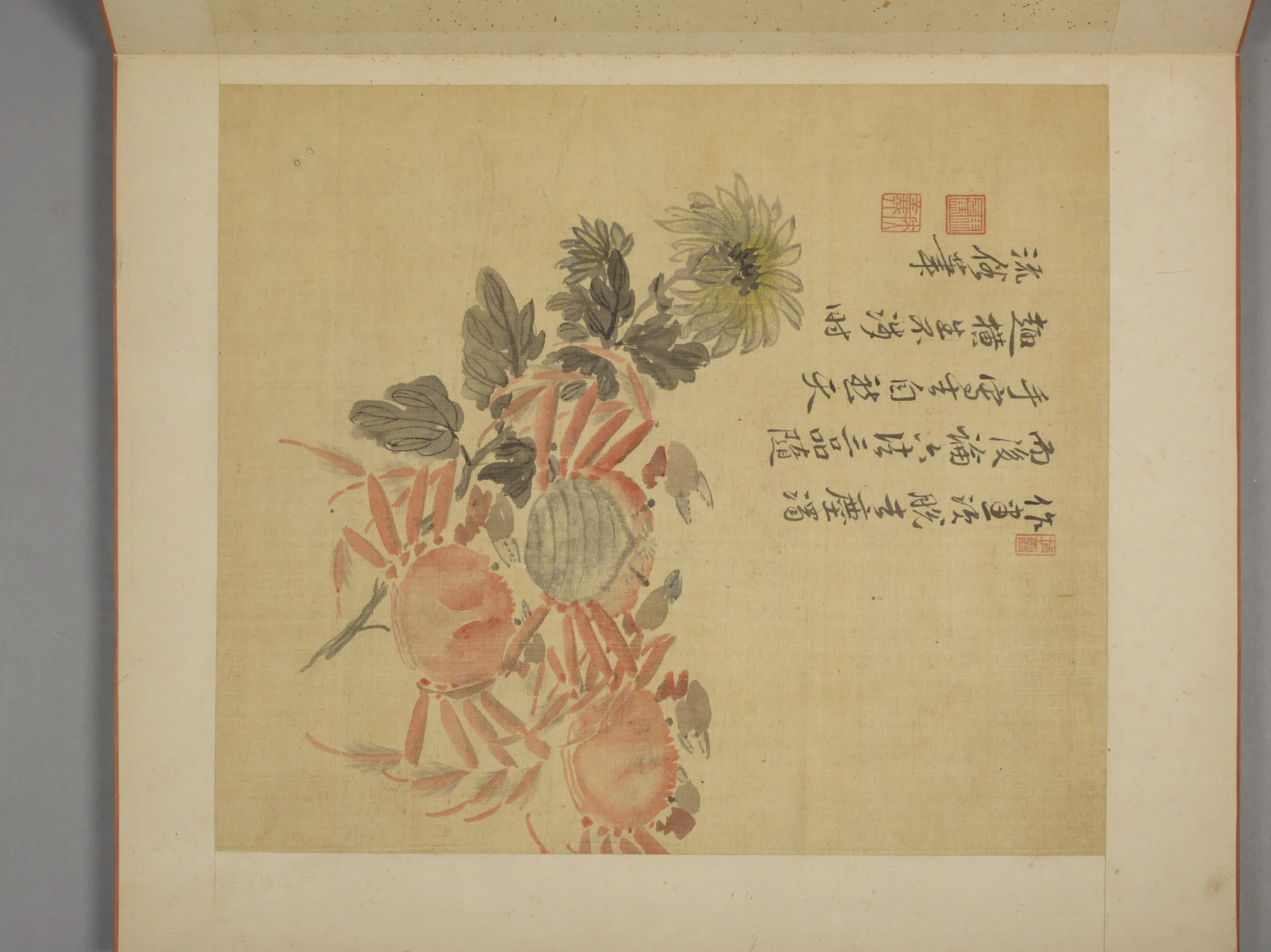 清代【马元驭】《花卉册》 第3张