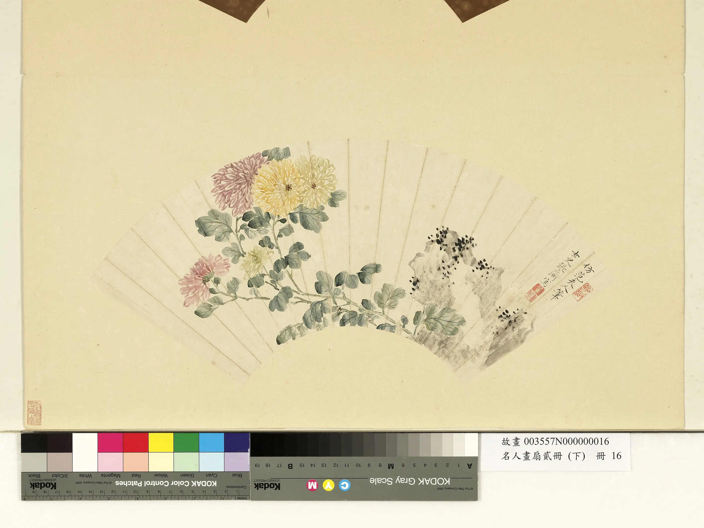 清代【张兰】《名人画扇贰册(下)册-菊石》