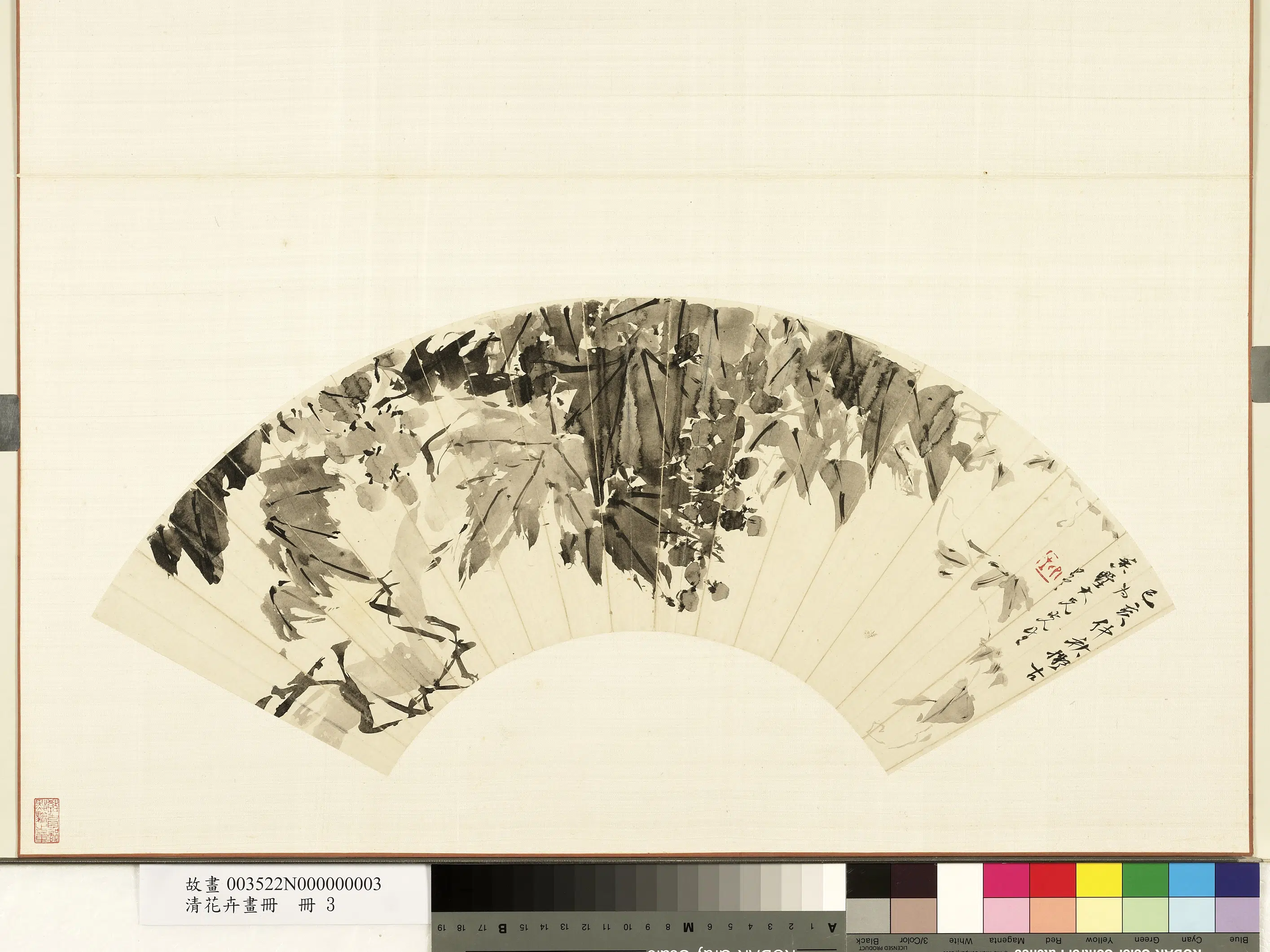 《花卉画册-8》 第6张