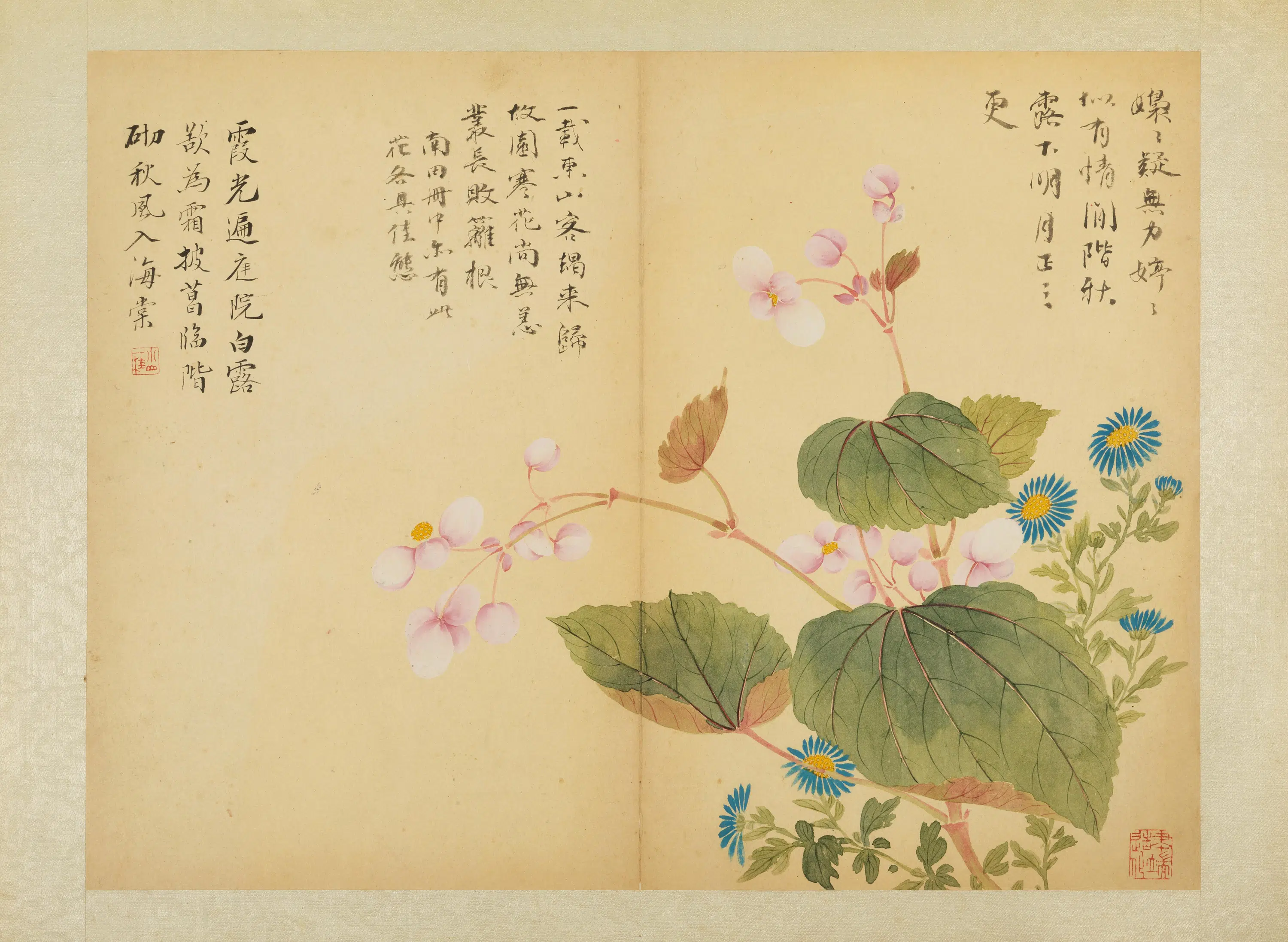 清代【邹一桂】《花卉图册》