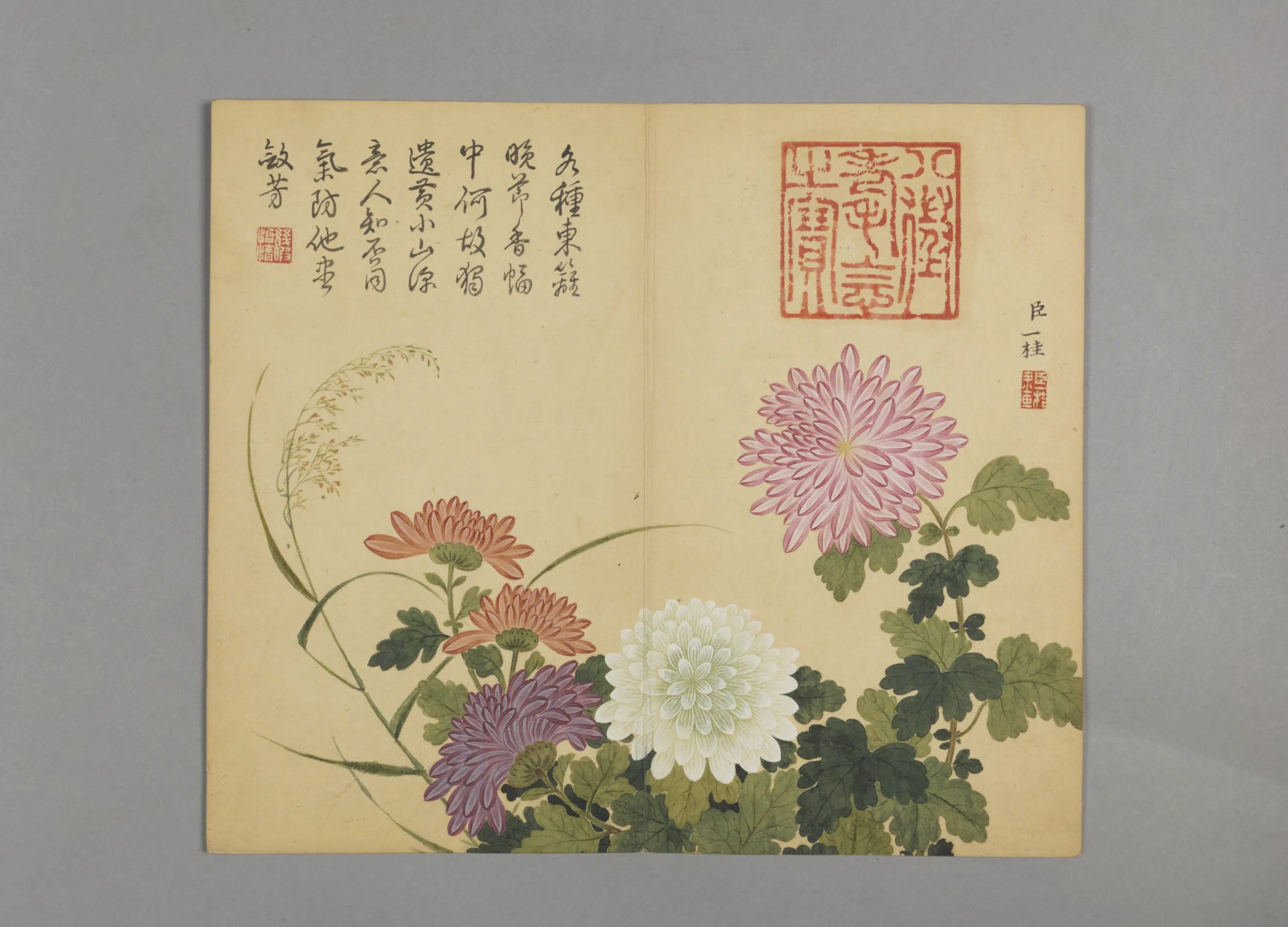 清代【邹一桂】《花鸟草虫图册（12开）》 第2张