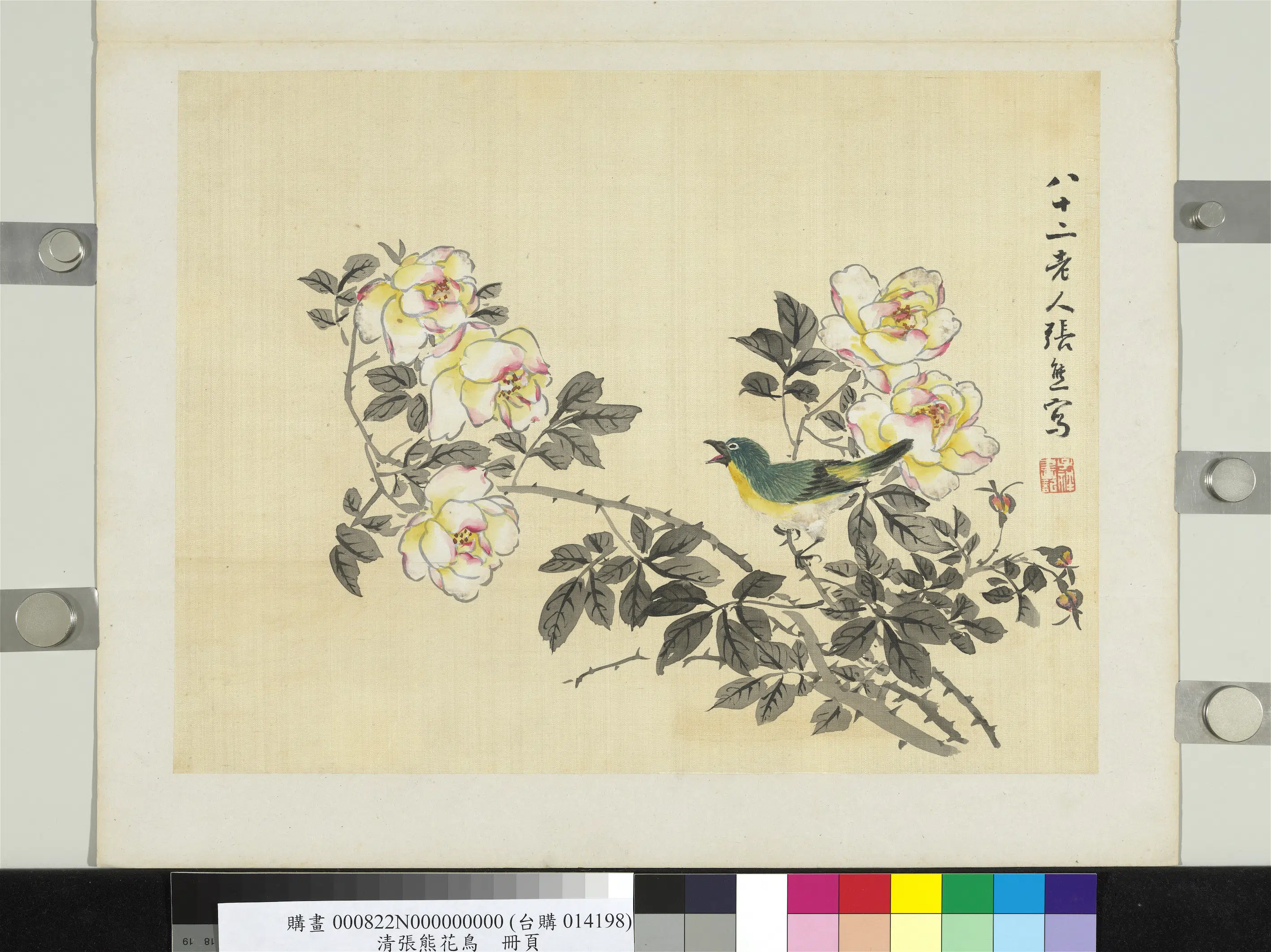 清代【张熊】《花鸟册页》 第1张 清代【张熊】《花鸟册页》 第1张