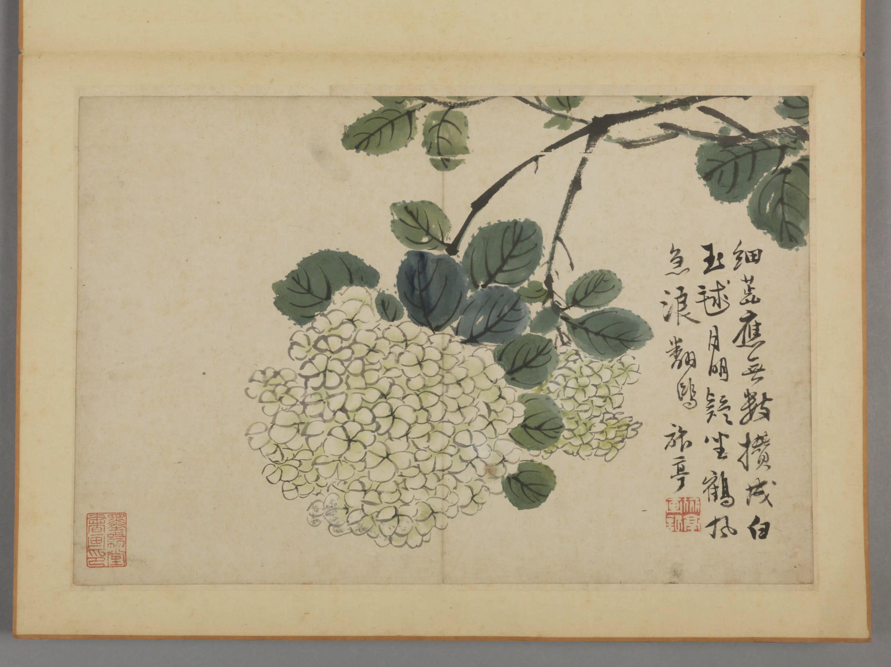 清代【蔡嘉】《花卉图册（12开）》 第6张