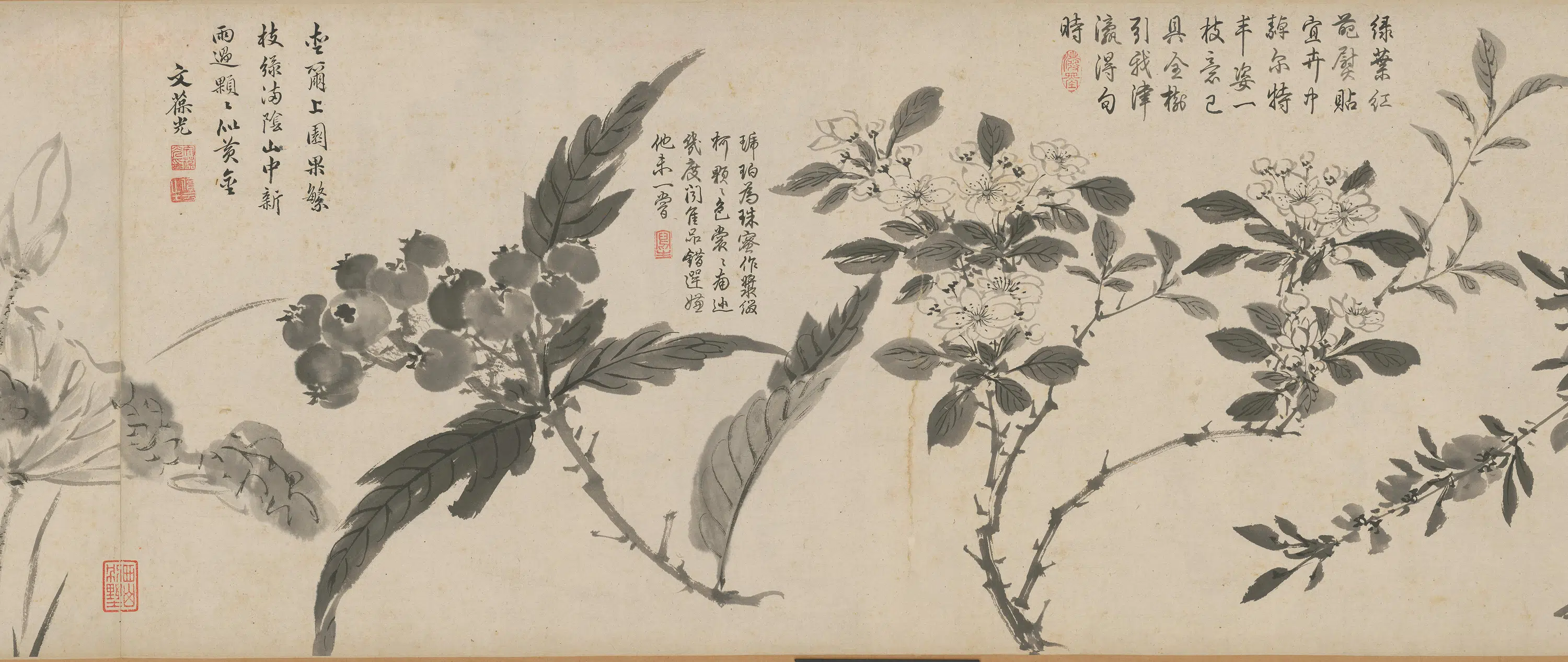明朝【周之冕】《百花图卷》 第10张 明朝【周之冕】《百花图卷》 第10张