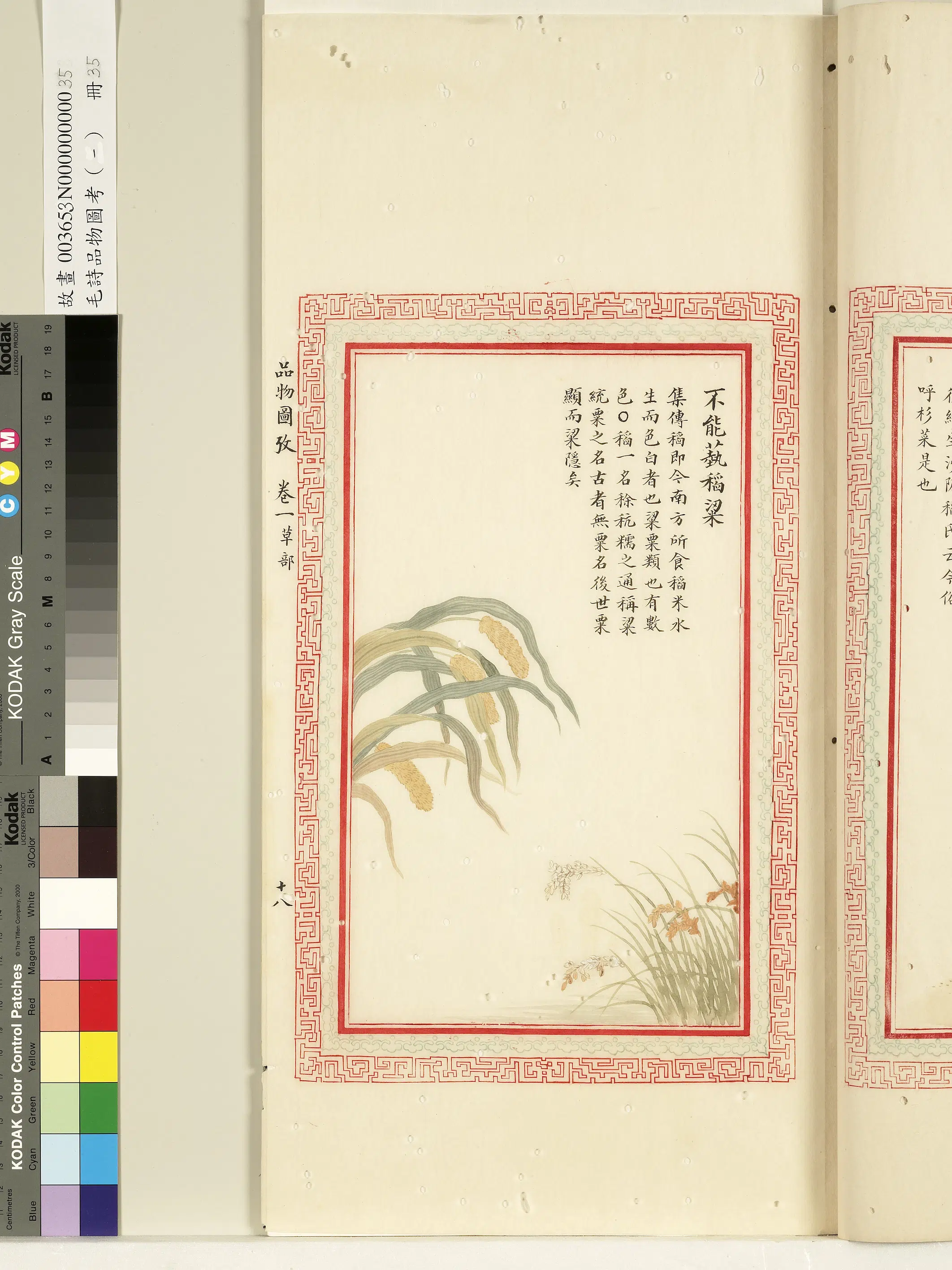 清代《毛诗品物图考(一)册-1》 第4张 清代《毛诗品物图考(一)册-1》 第4张