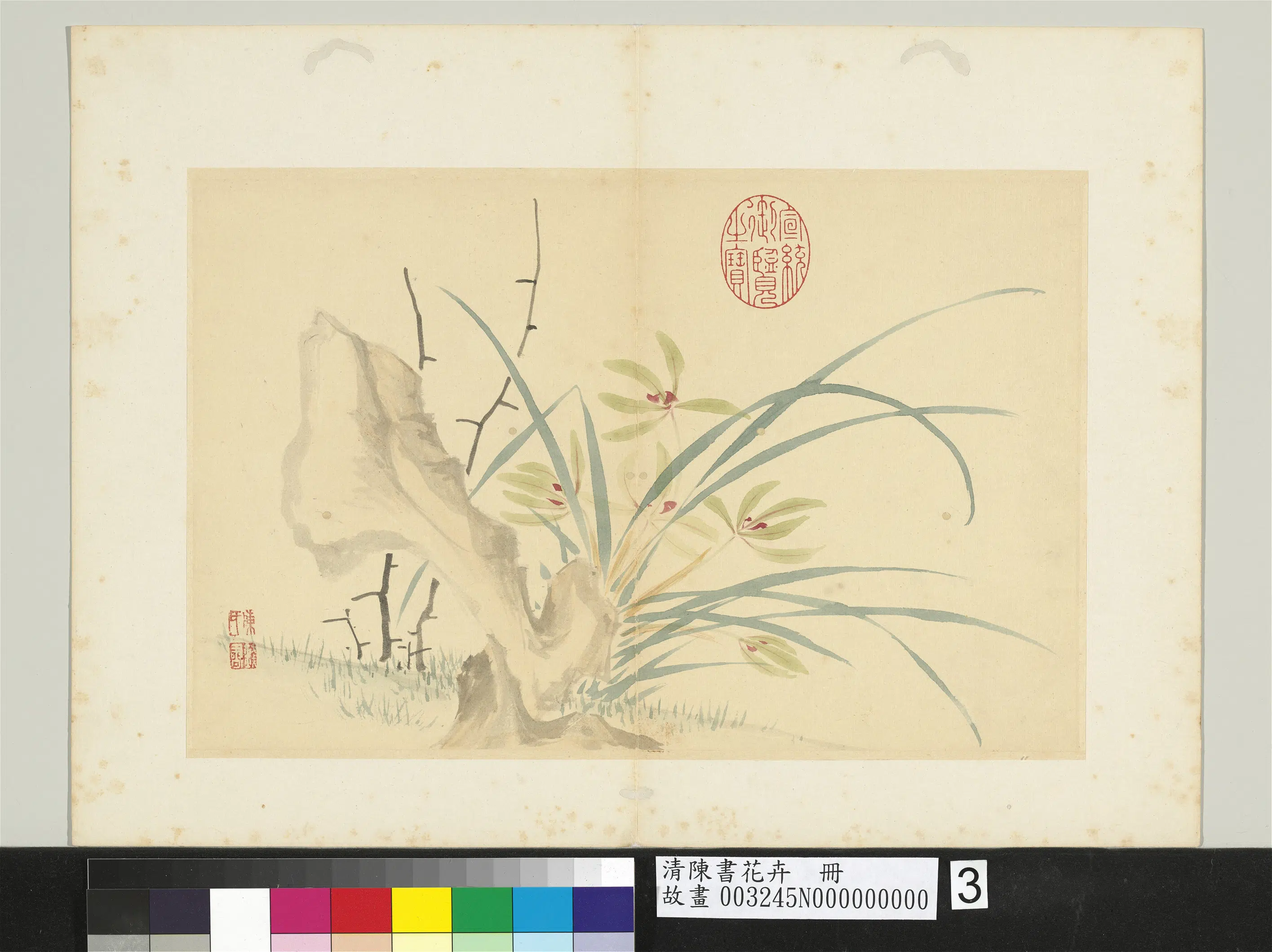 清代【陈书】《花卉册图-10开》