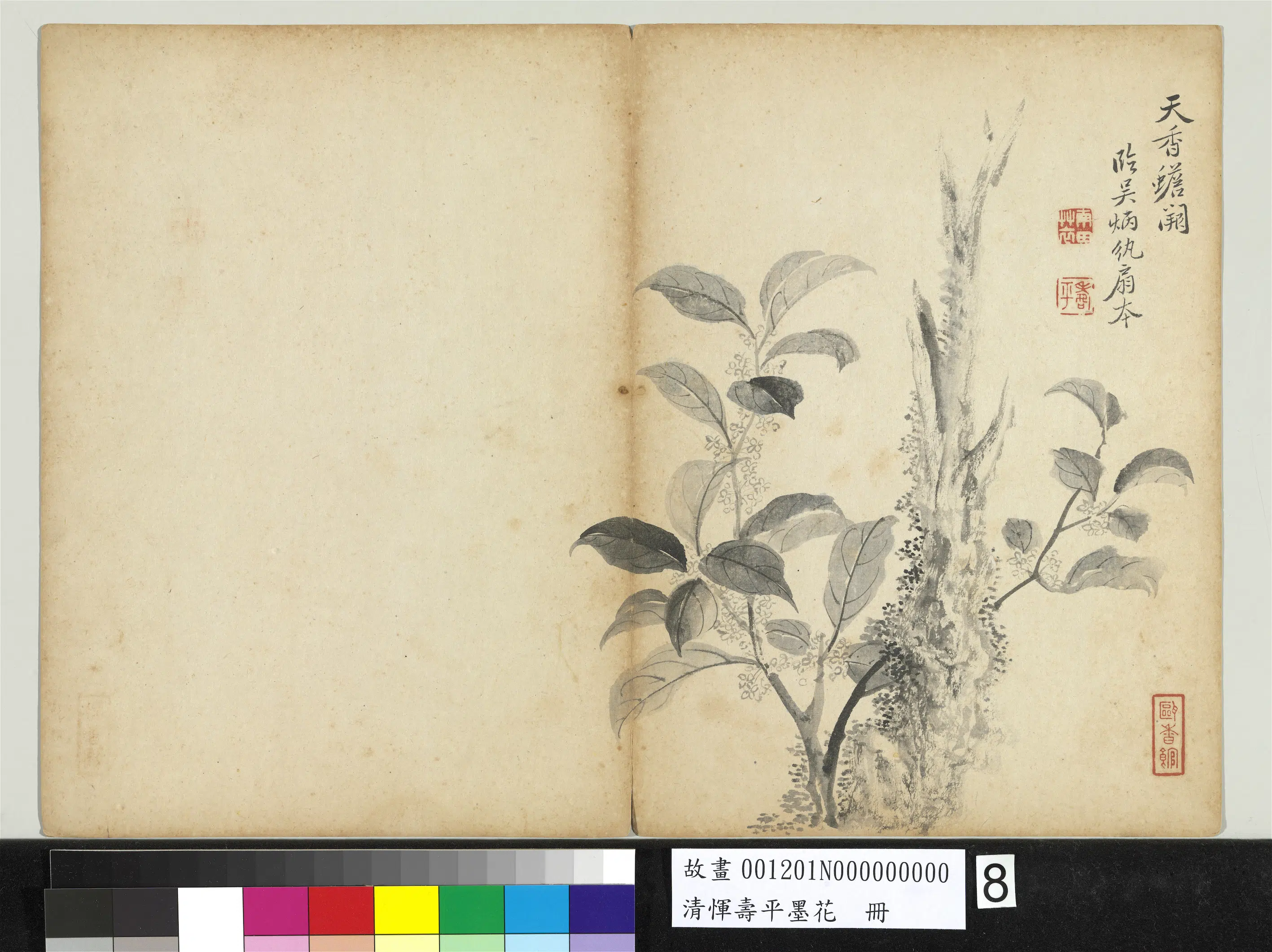 清代【恽寿平】《墨花册-桂花》