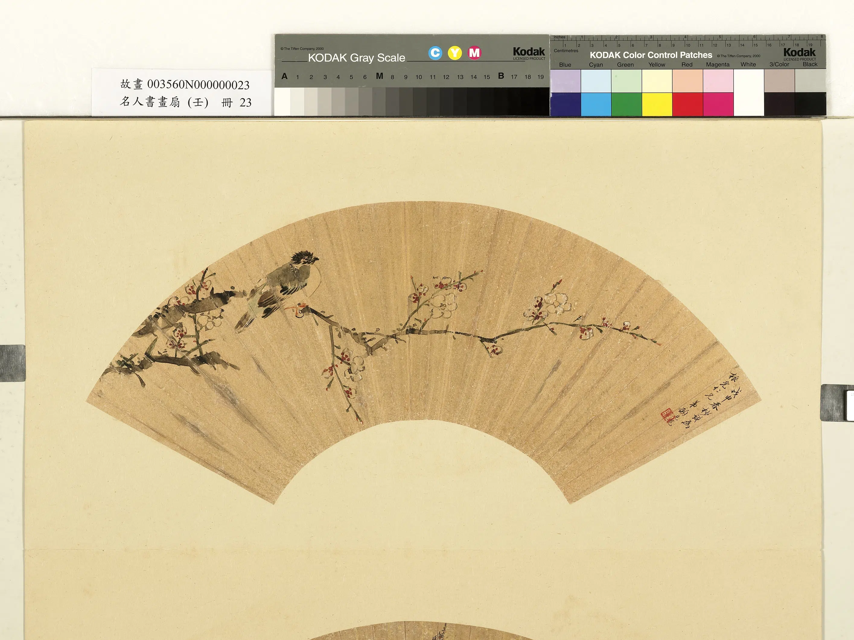 清代【顾见龙】《名人书画扇（壬）册-顾见龙画梅花鸲鹆》 第1张
