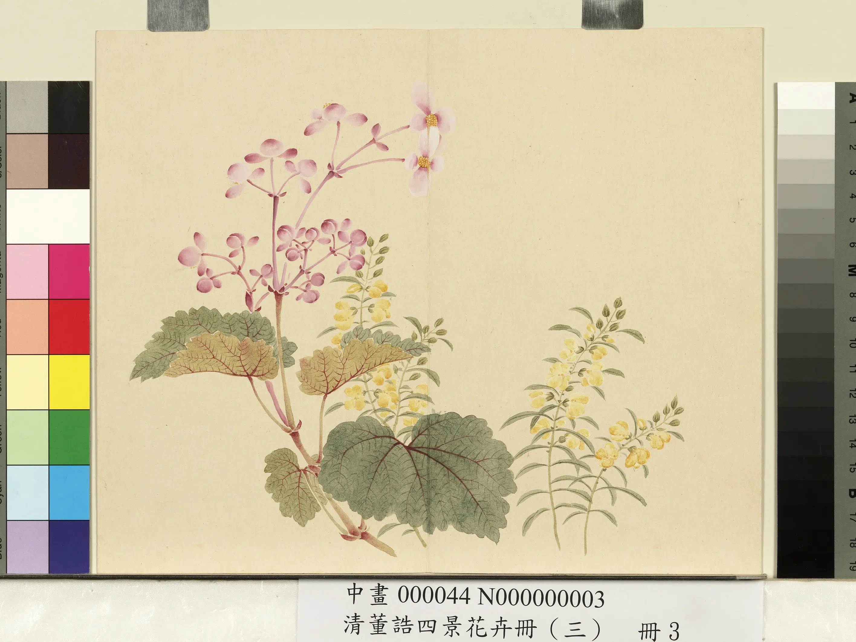 清代【董诰】《四景花卉(三)册-秋景花卉之三》 第1张 清代【董诰】《四景花卉(三)册-秋景花卉之三》 第1张