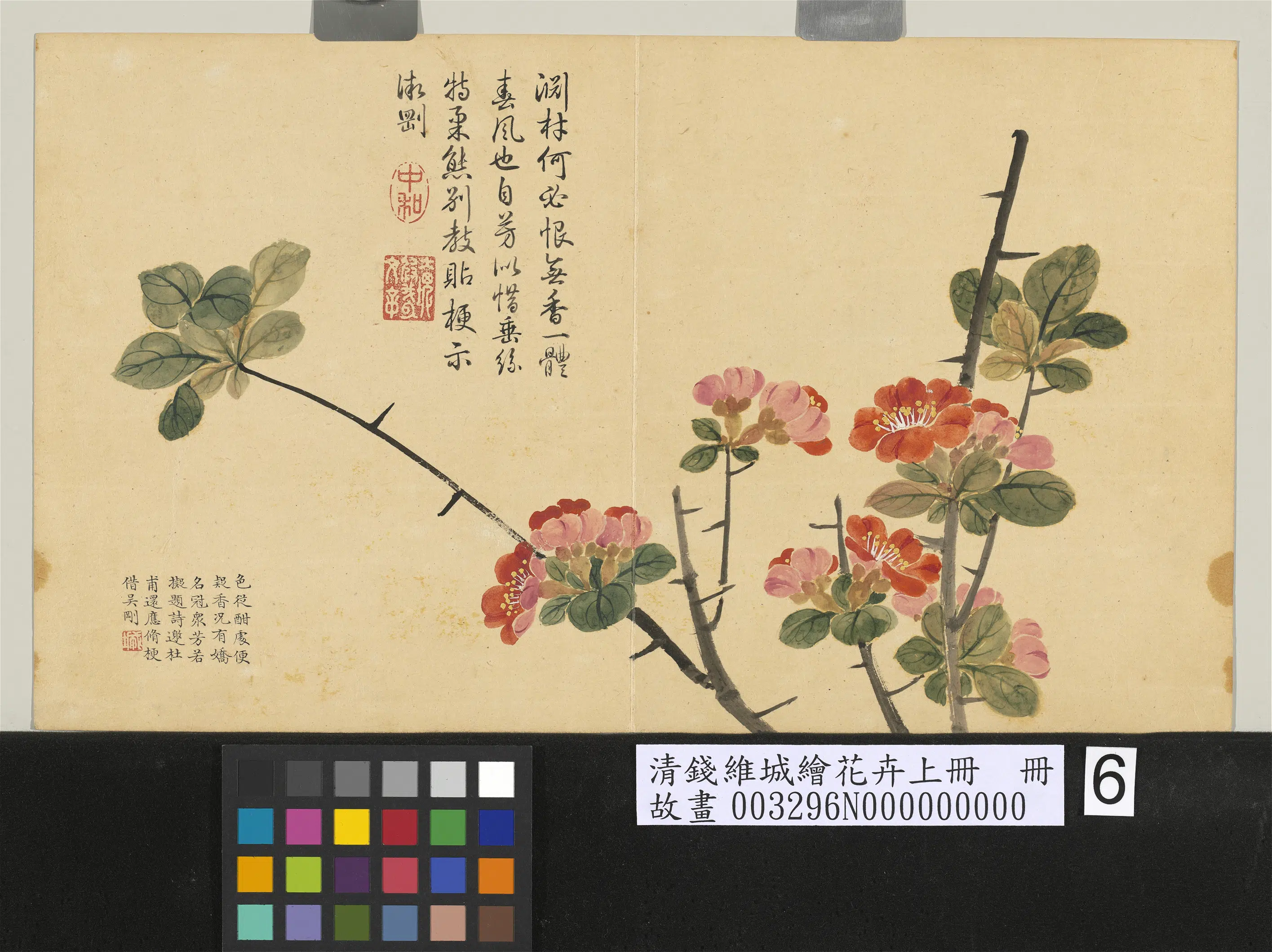 清代【钱维城】《绘花卉（上）册贴梗海棠》