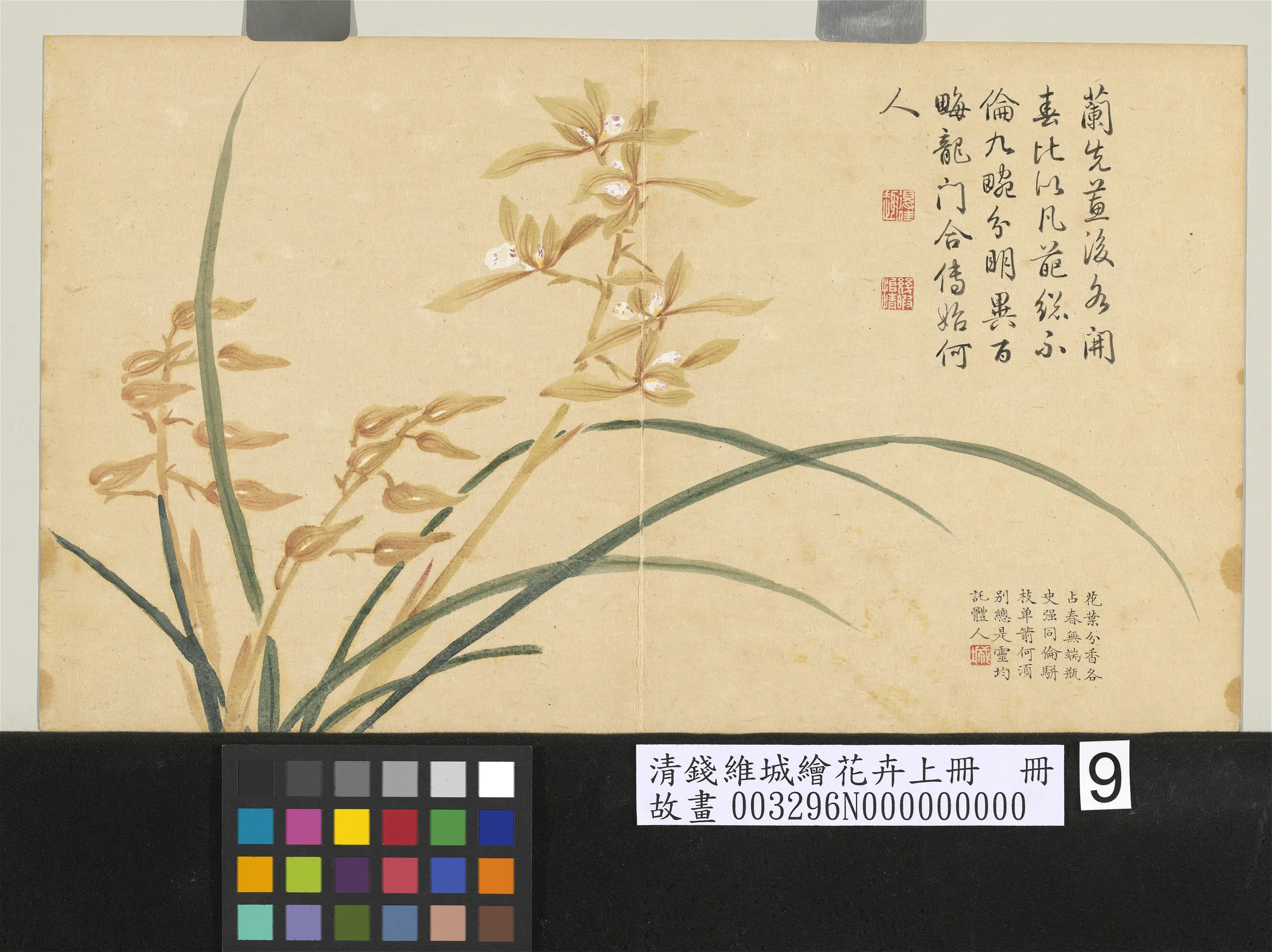 清代【钱维城】《绘花卉（上）册蕙兰》