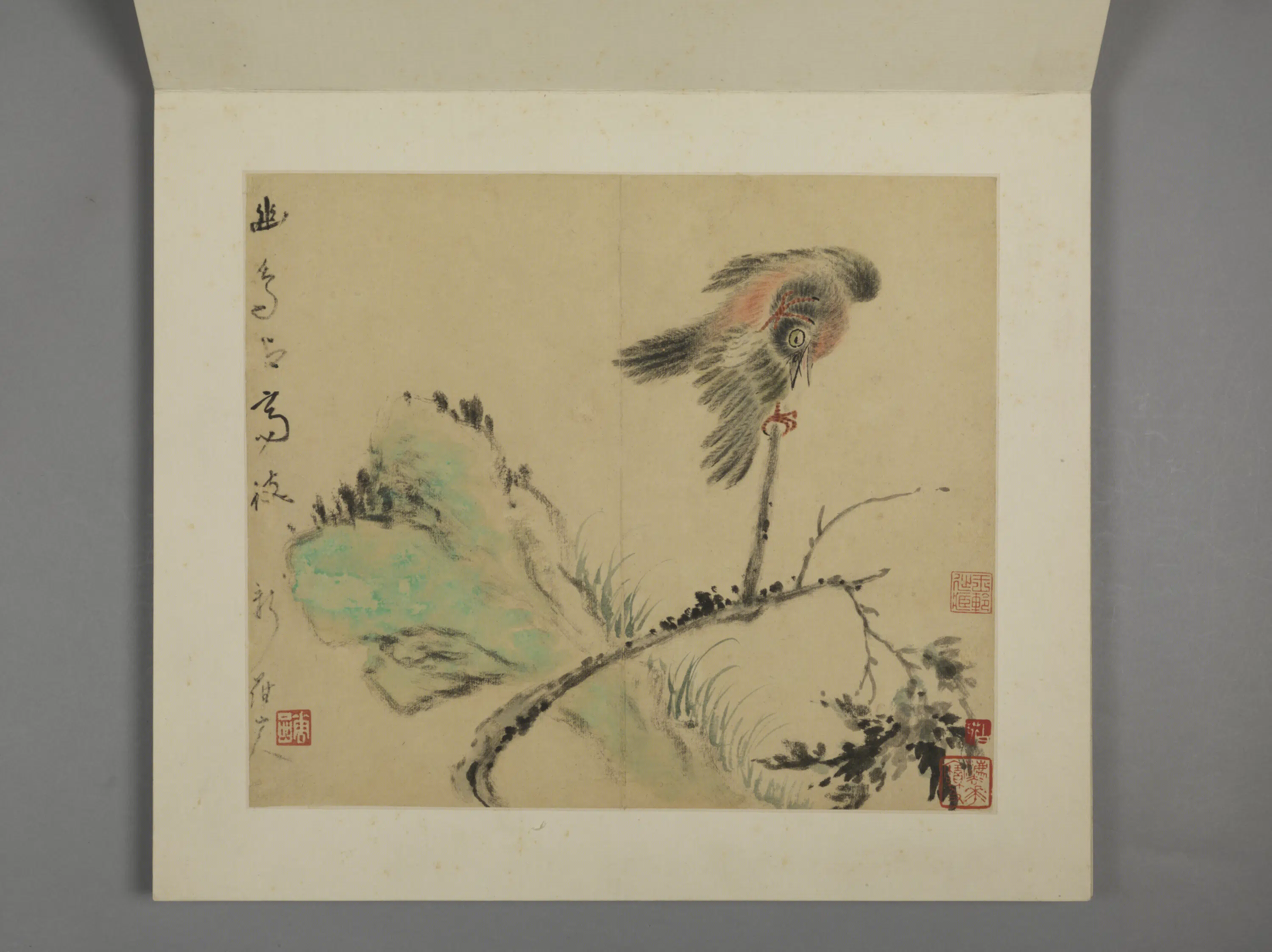 清代【华喦】《花鸟册（8开）》 第3张